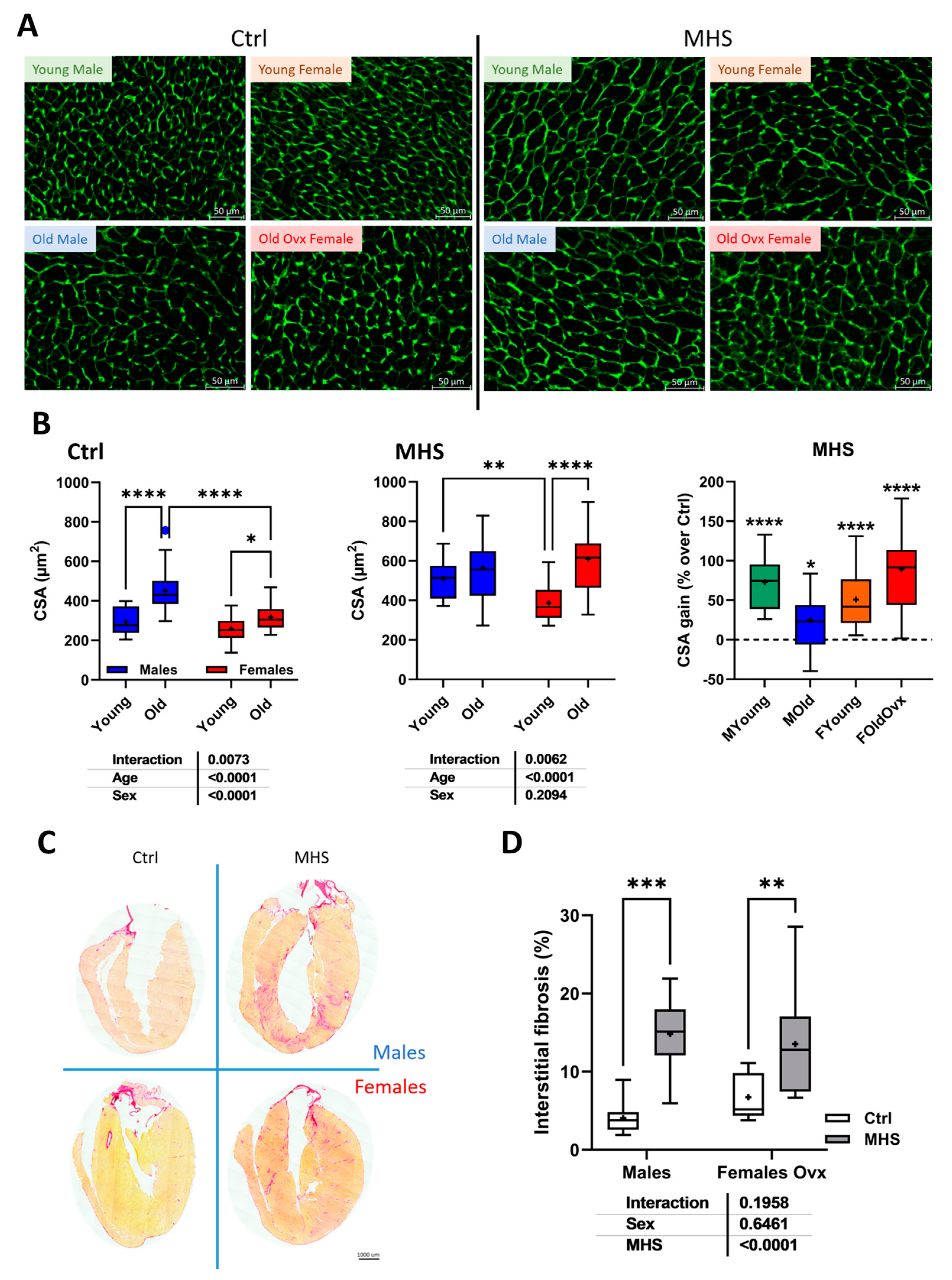 Preprints 158415 g006