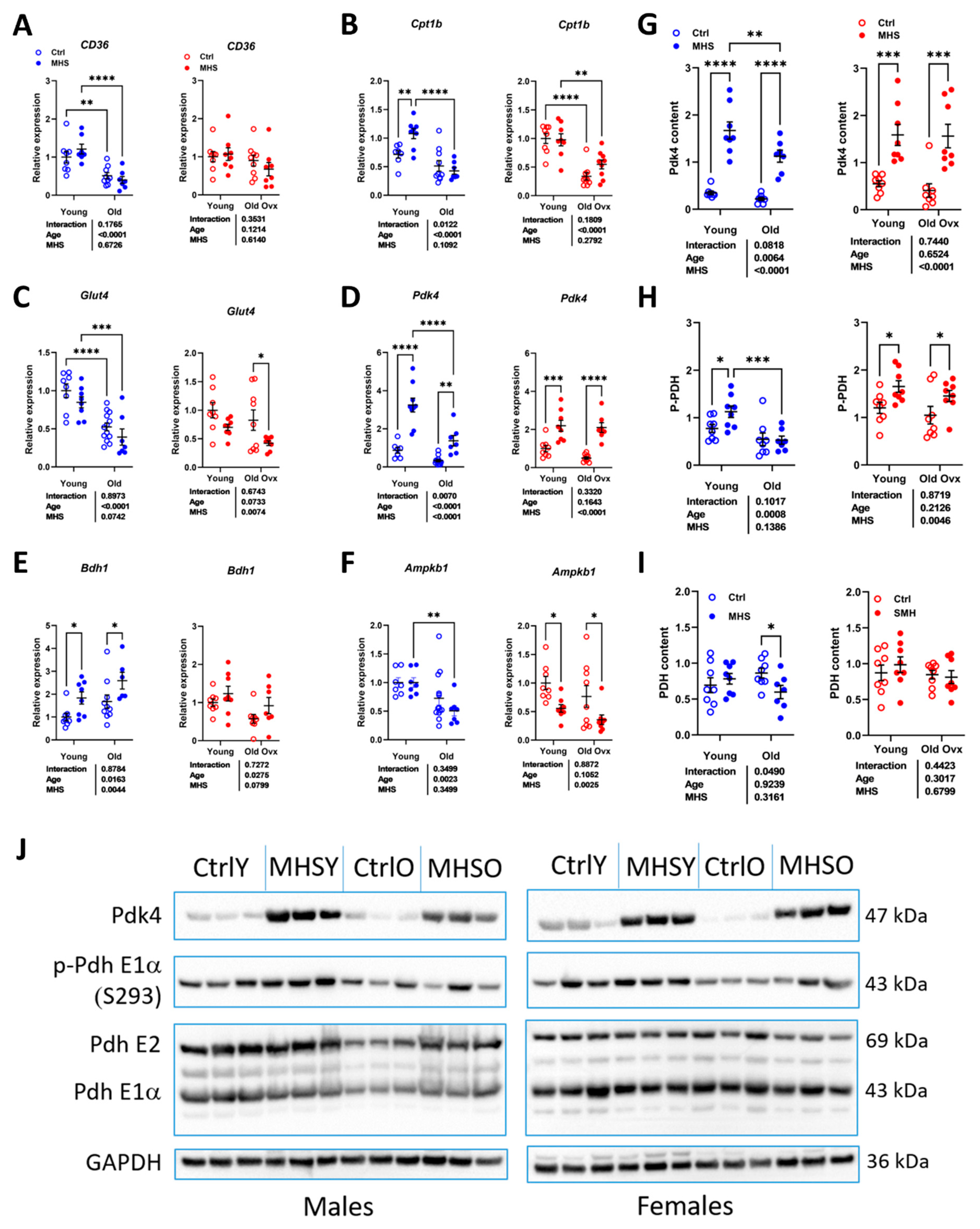 Preprints 158415 g008