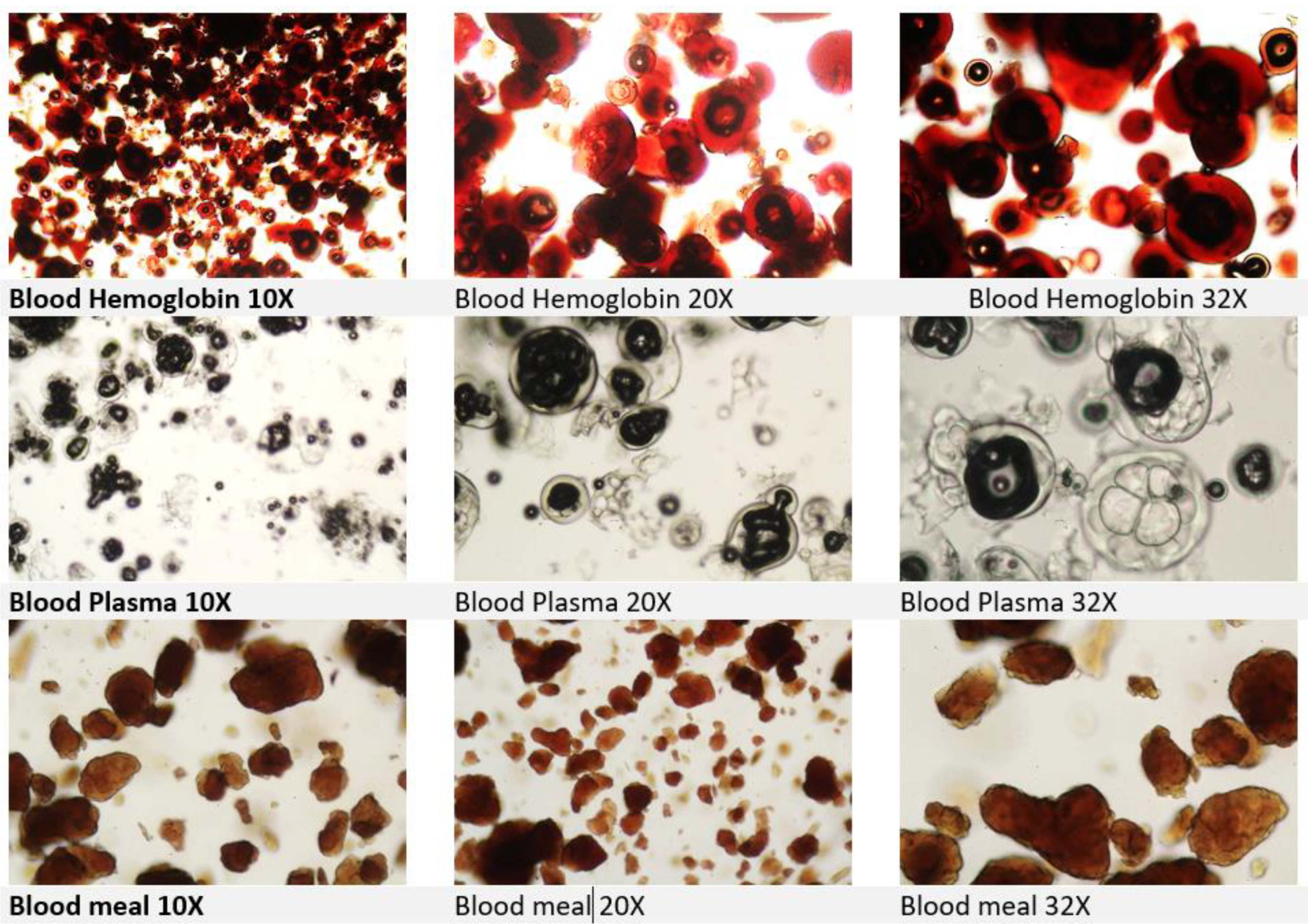 Preprints 180905 g002