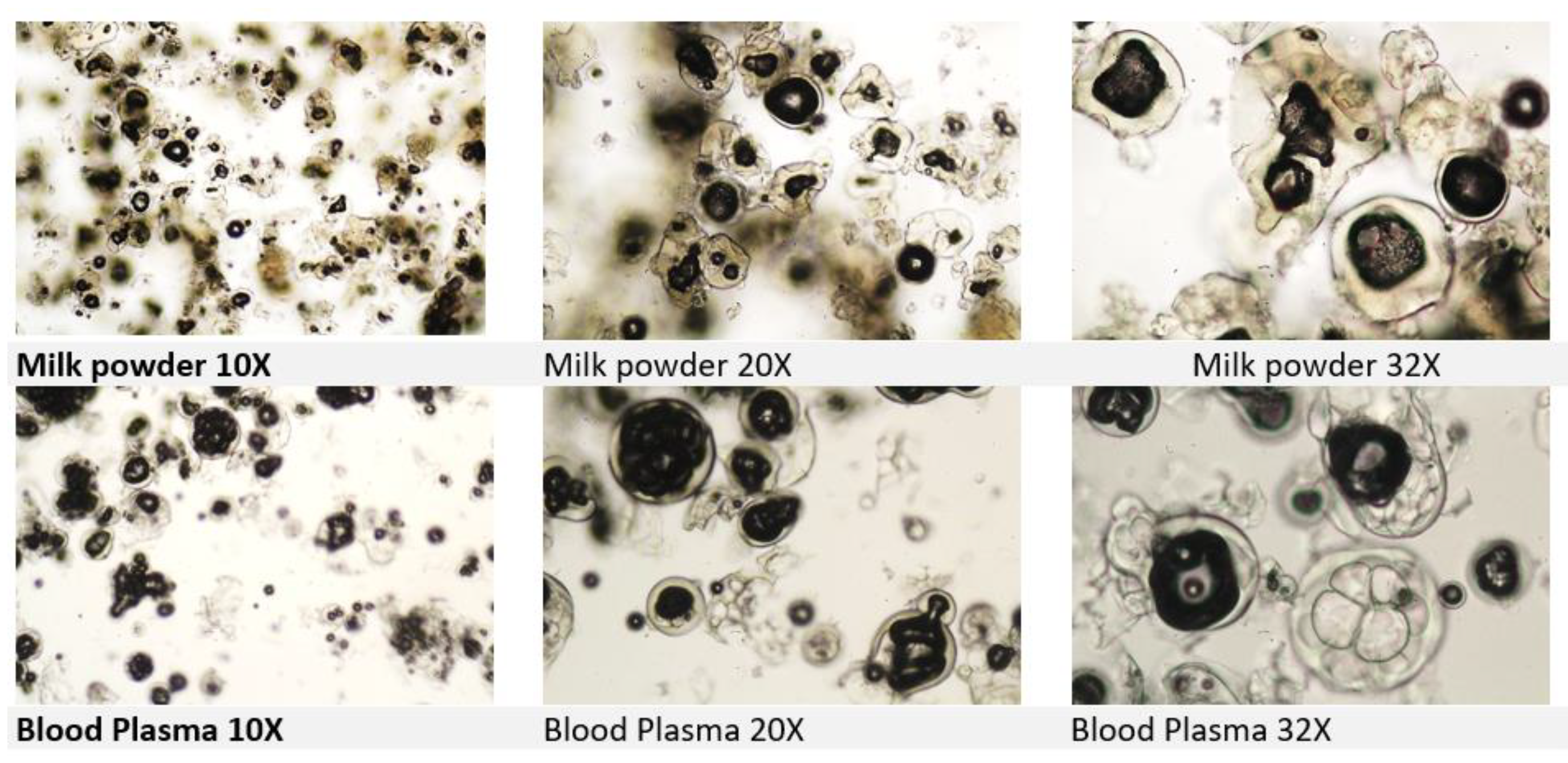 Preprints 180905 g003