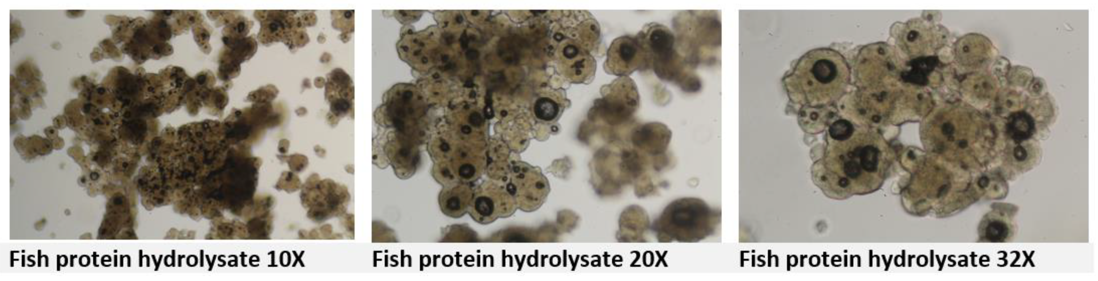 Preprints 180905 g006