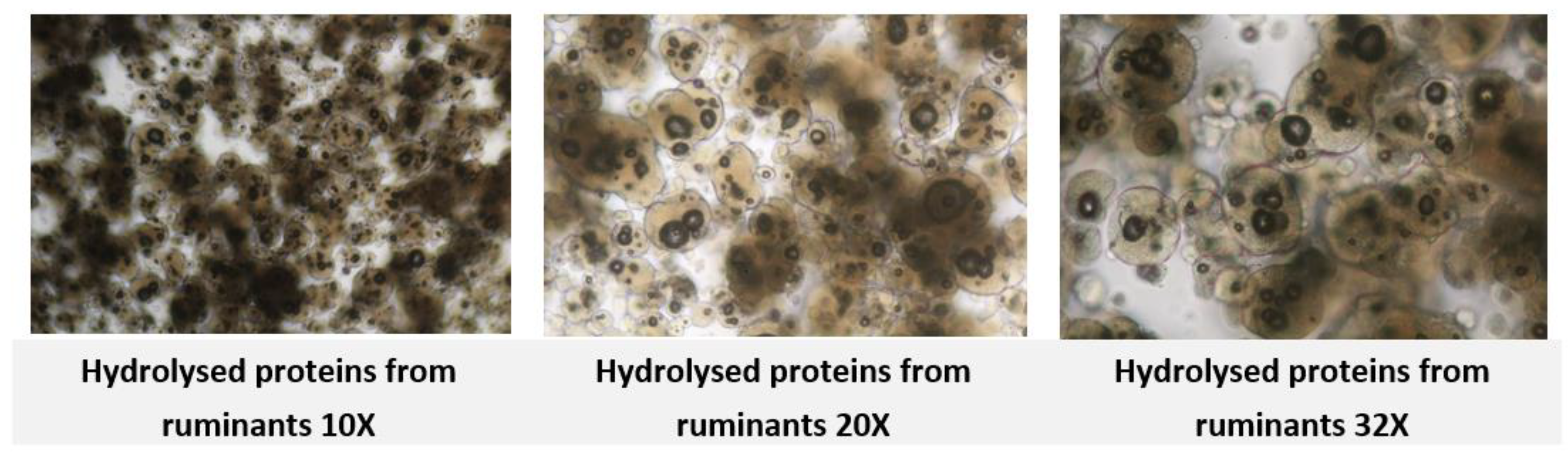 Preprints 180905 g007