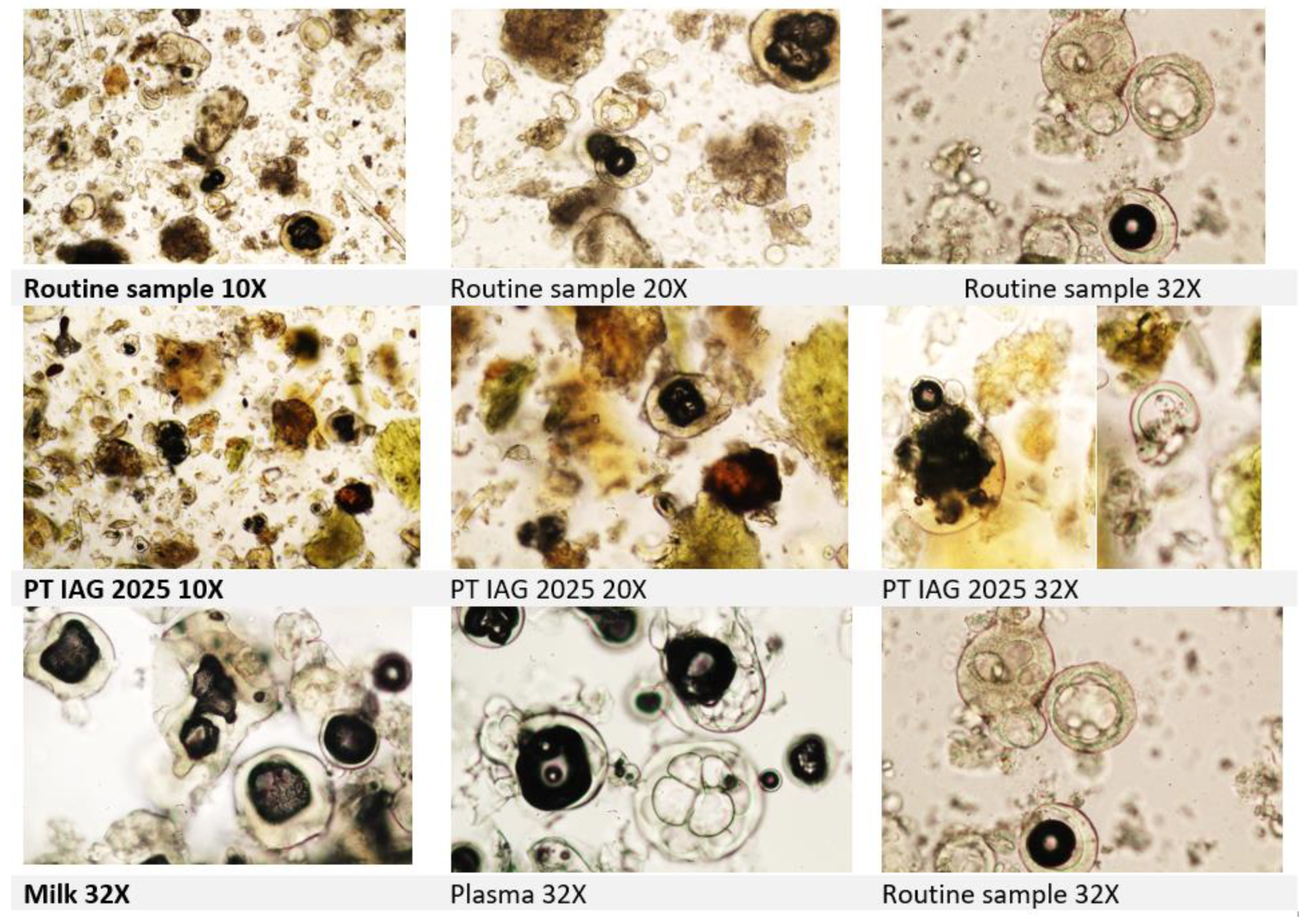 Preprints 180905 g008