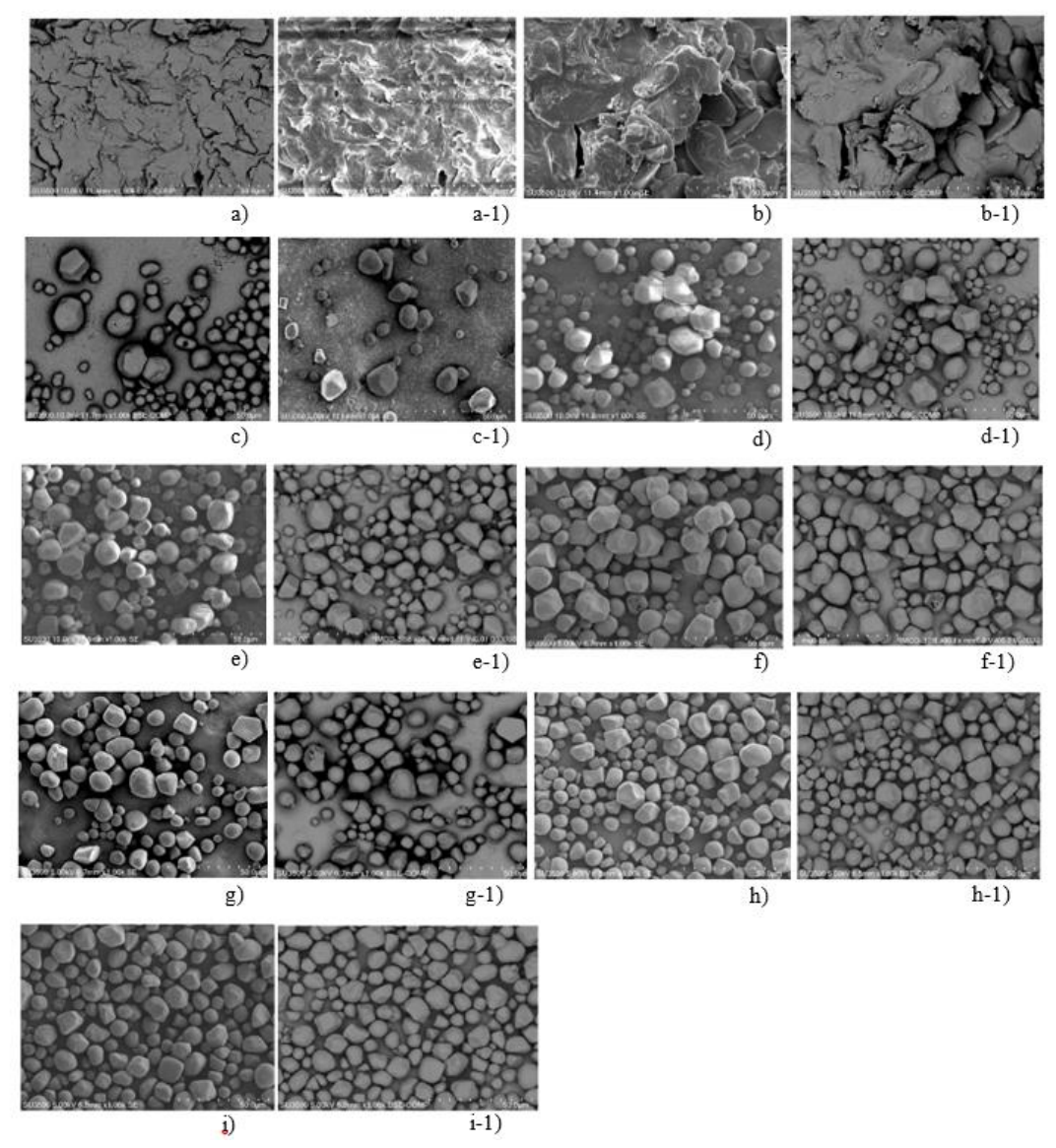 Preprints 231723 g007 Preprints 231723 g007