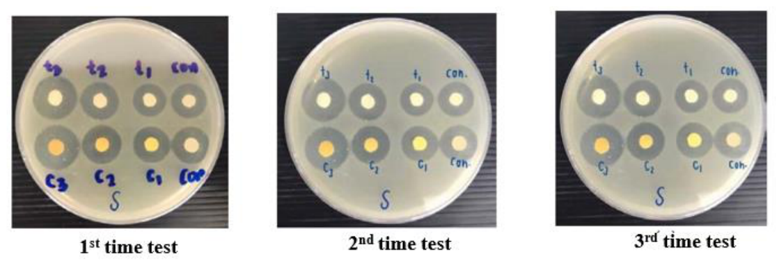 Preprints 231723 g010 Preprints 231723 g010