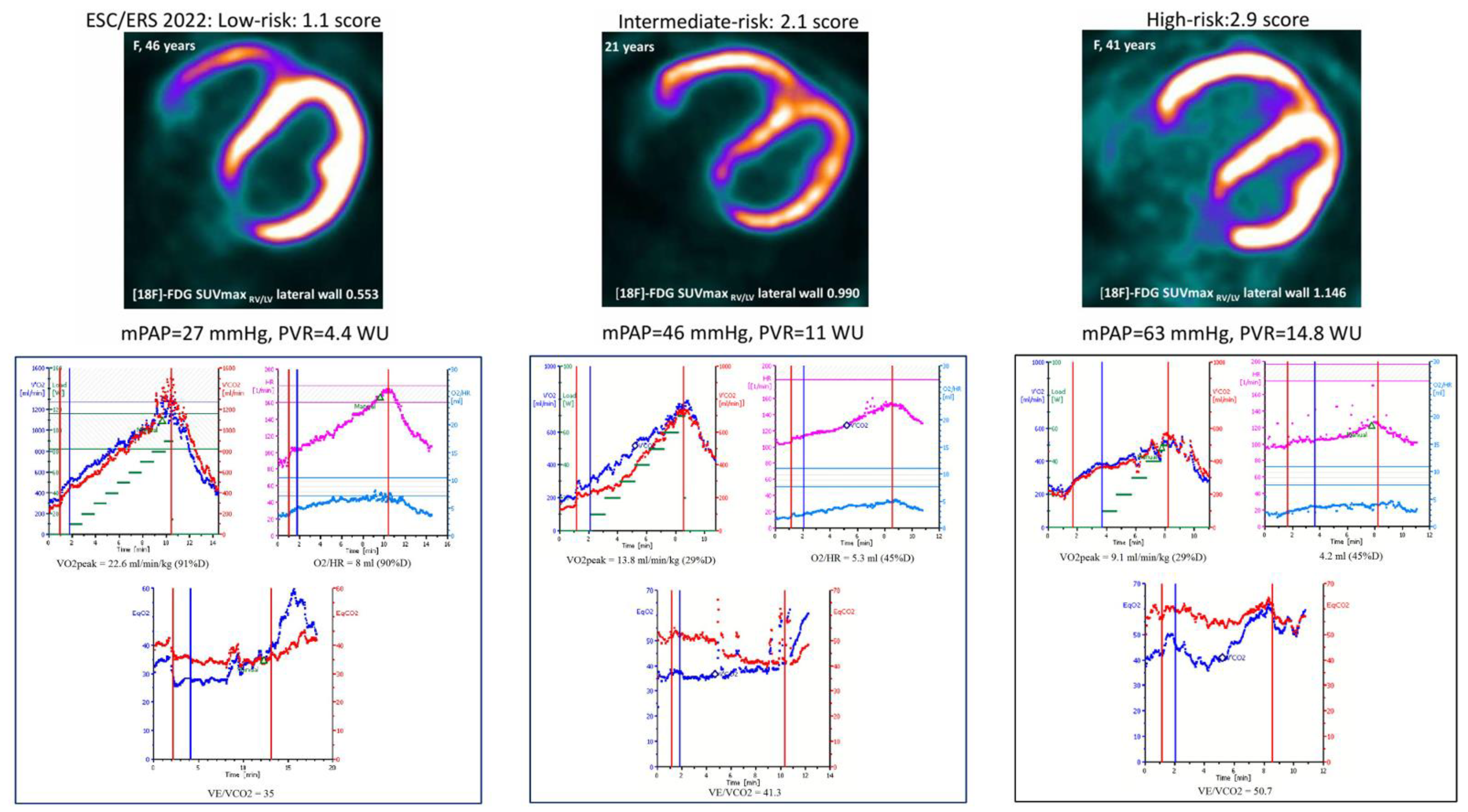 Preprints 169682 g002