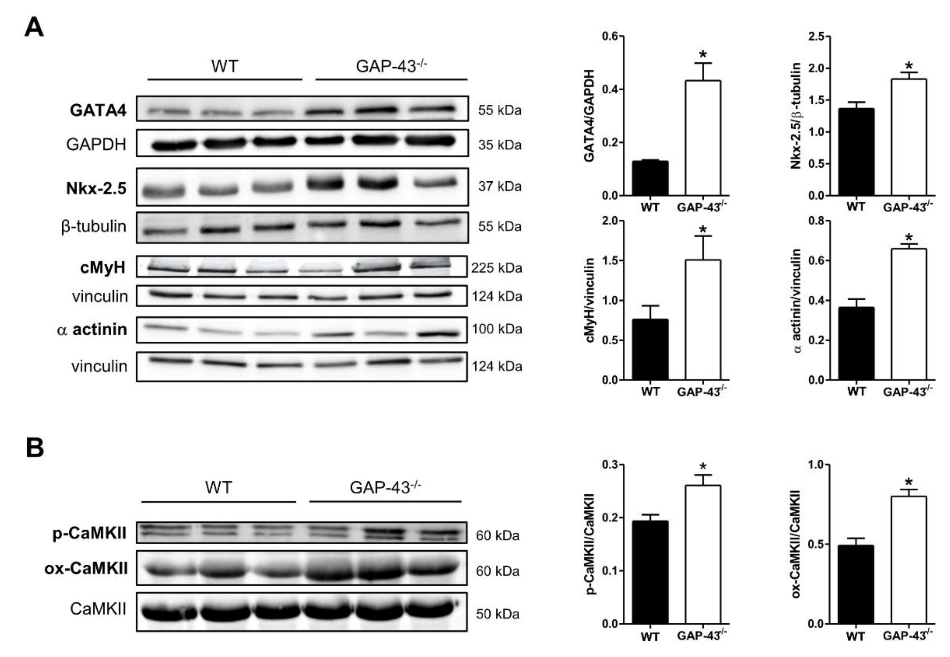 Preprints 147094 g001