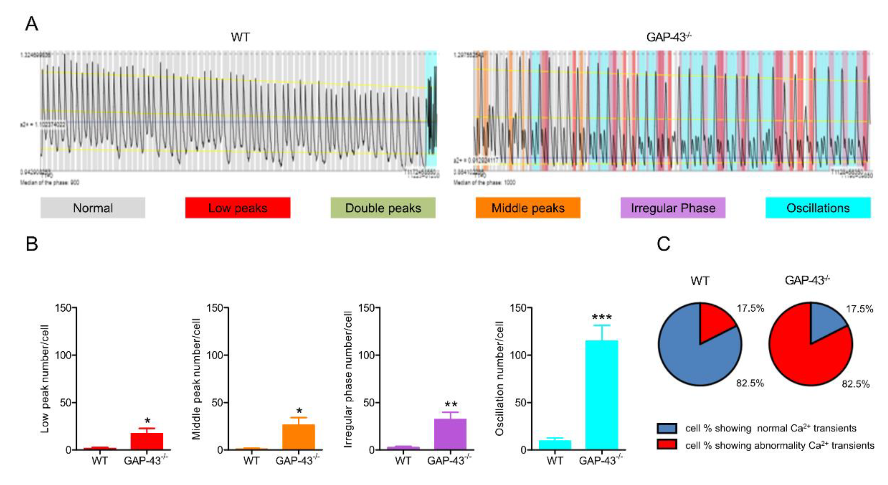 Preprints 147094 g002