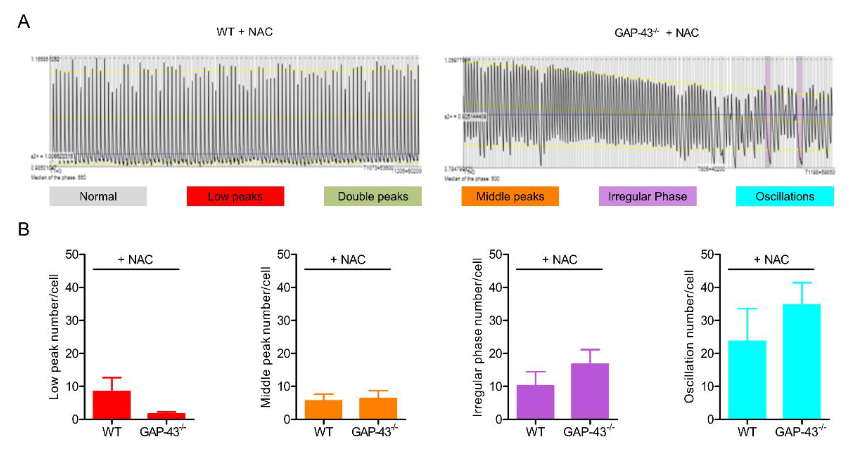 Preprints 147094 g004
