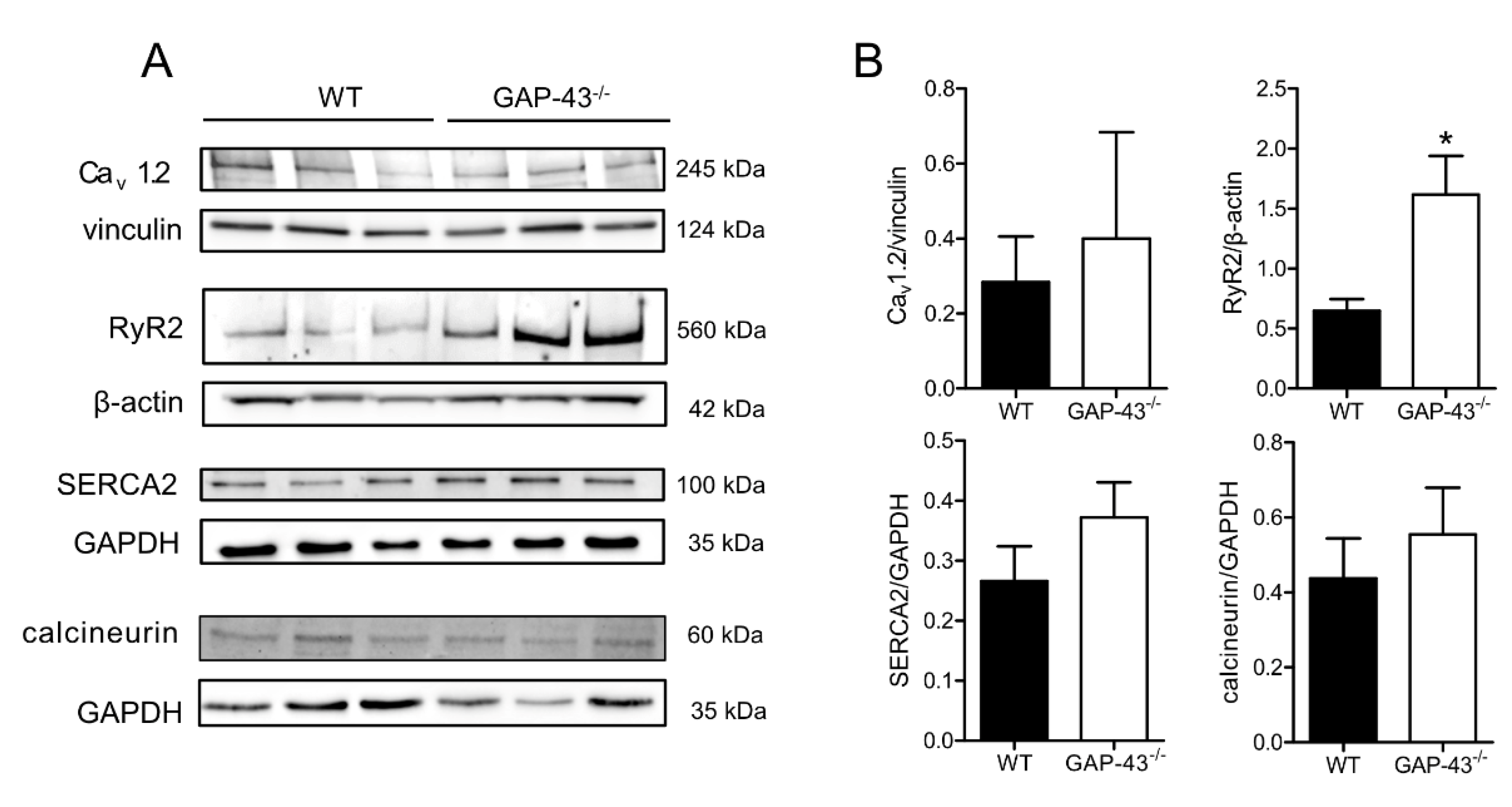 Preprints 147094 g005