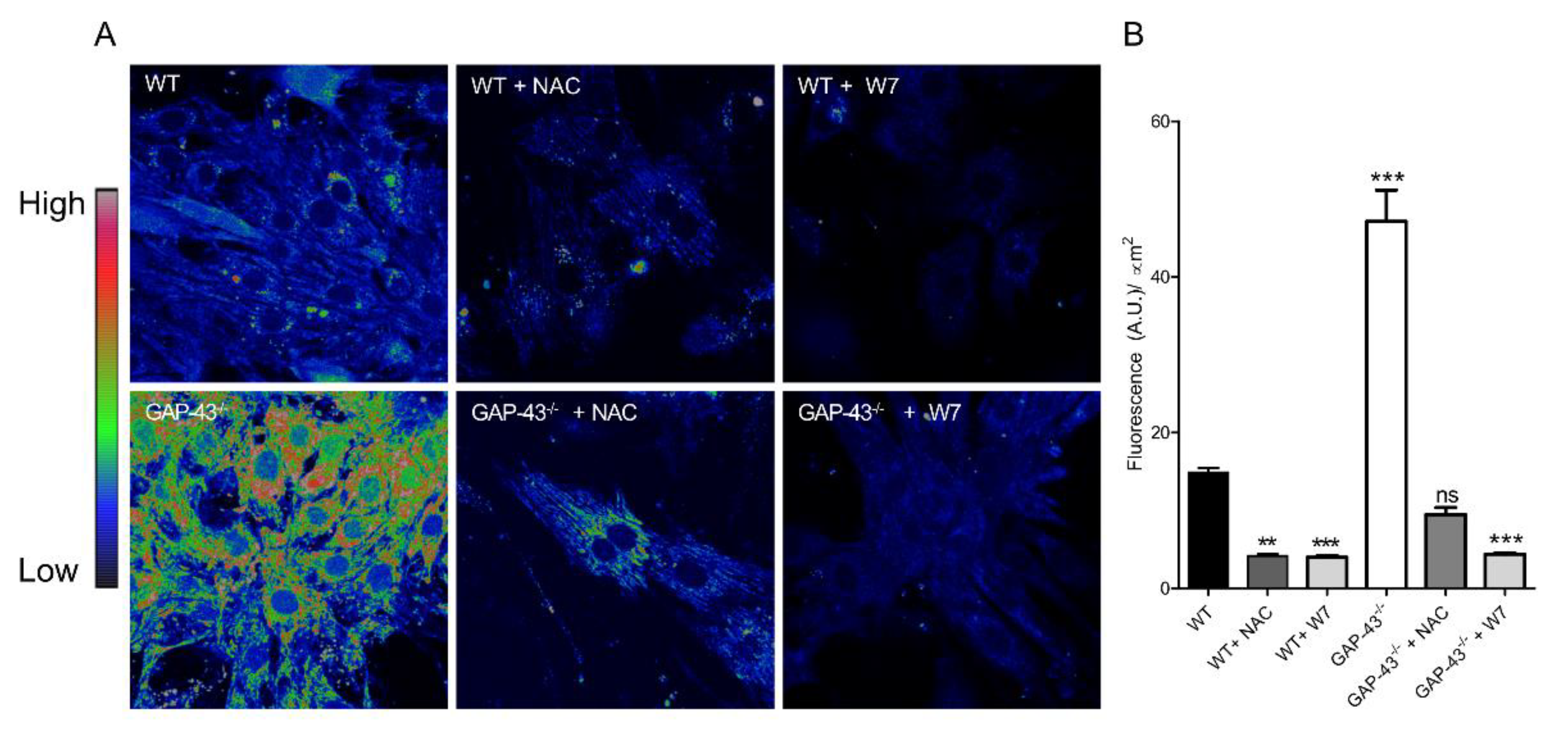 Preprints 147094 g006