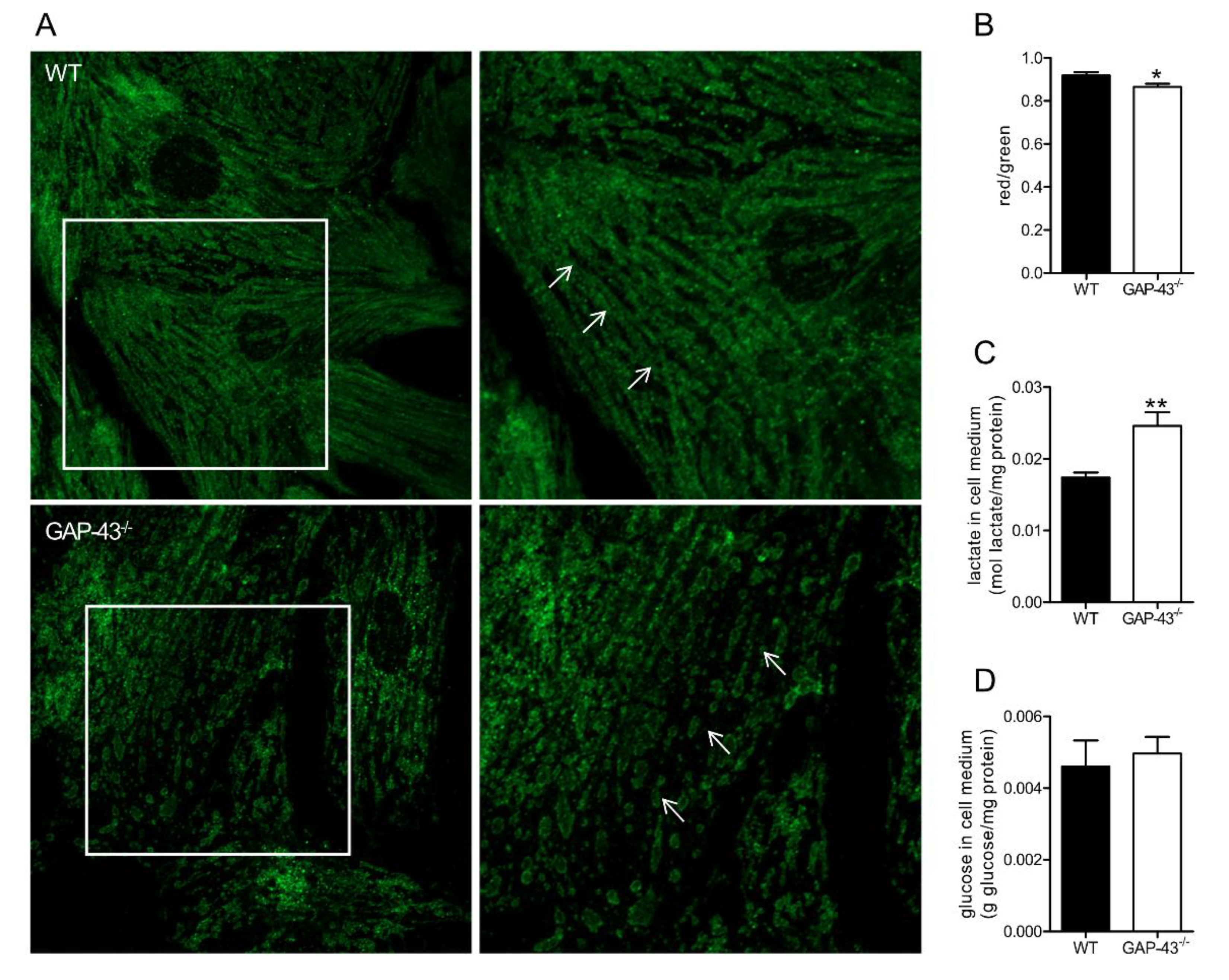 Preprints 147094 g007