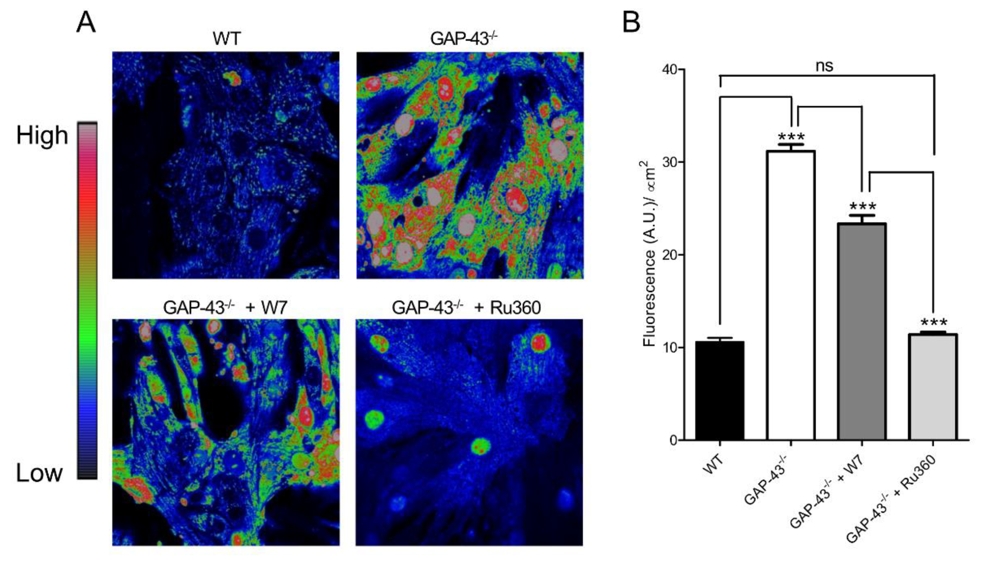 Preprints 147094 g009