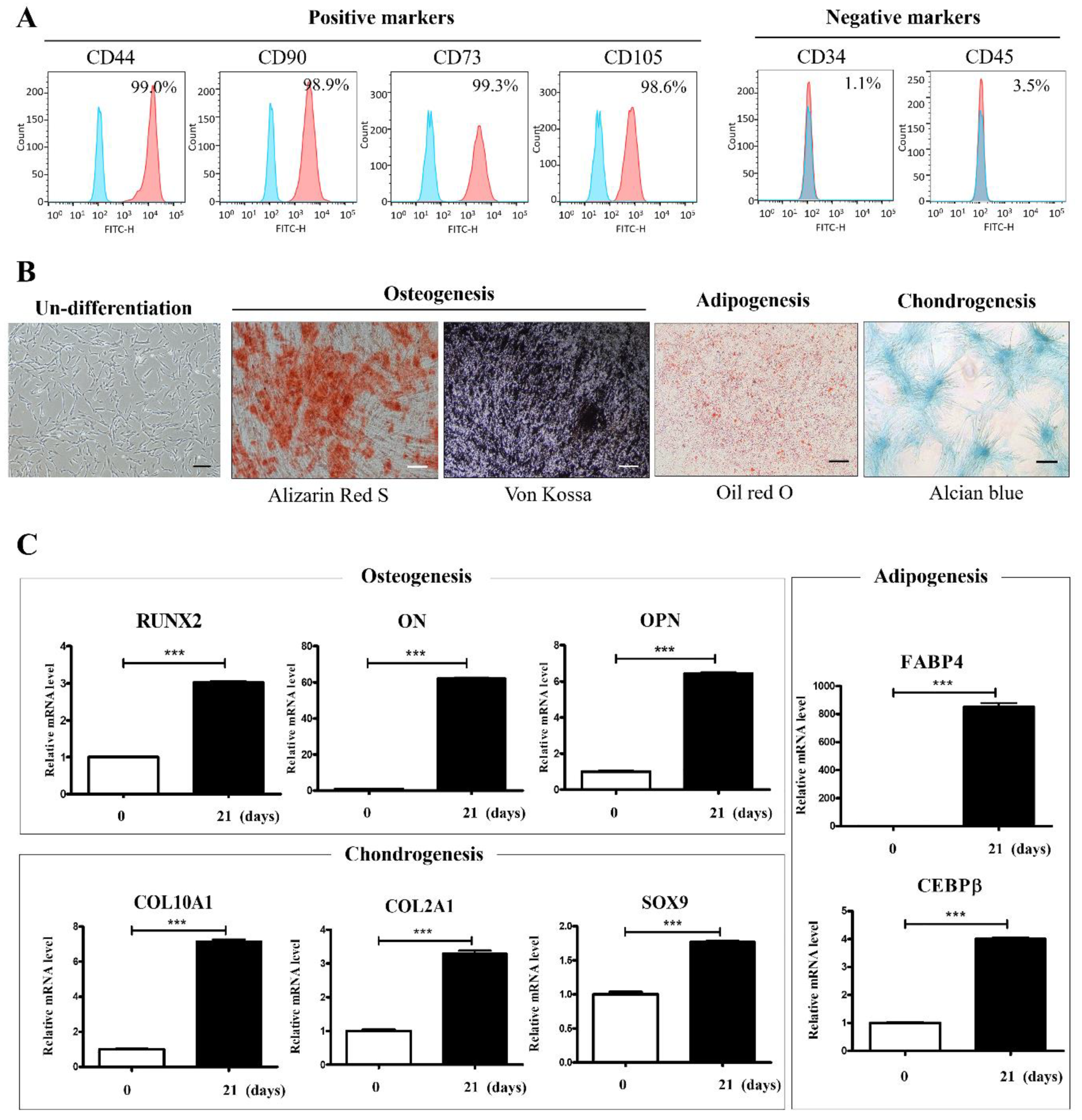 Preprints 210119 g001