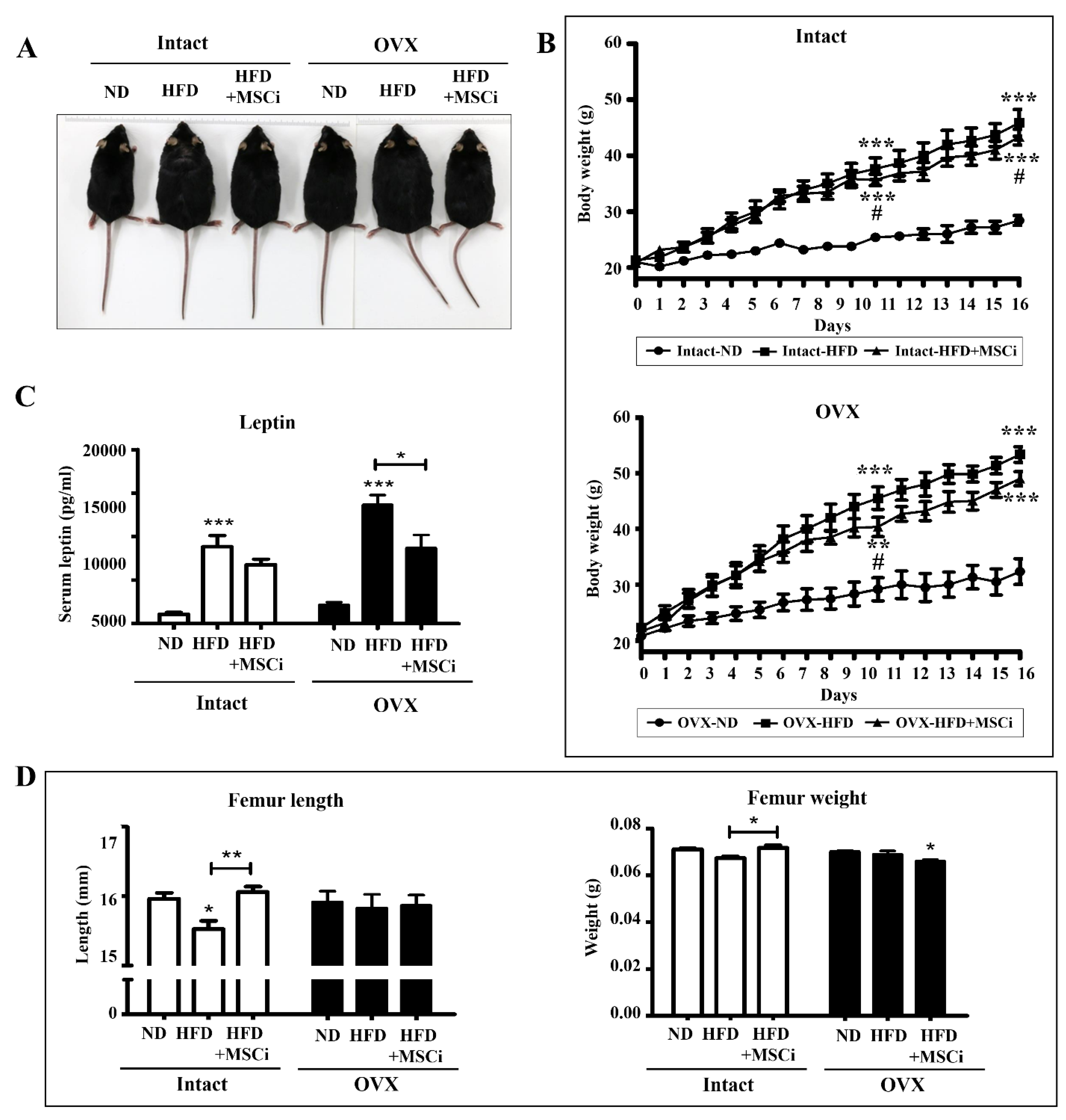 Preprints 210119 g002
