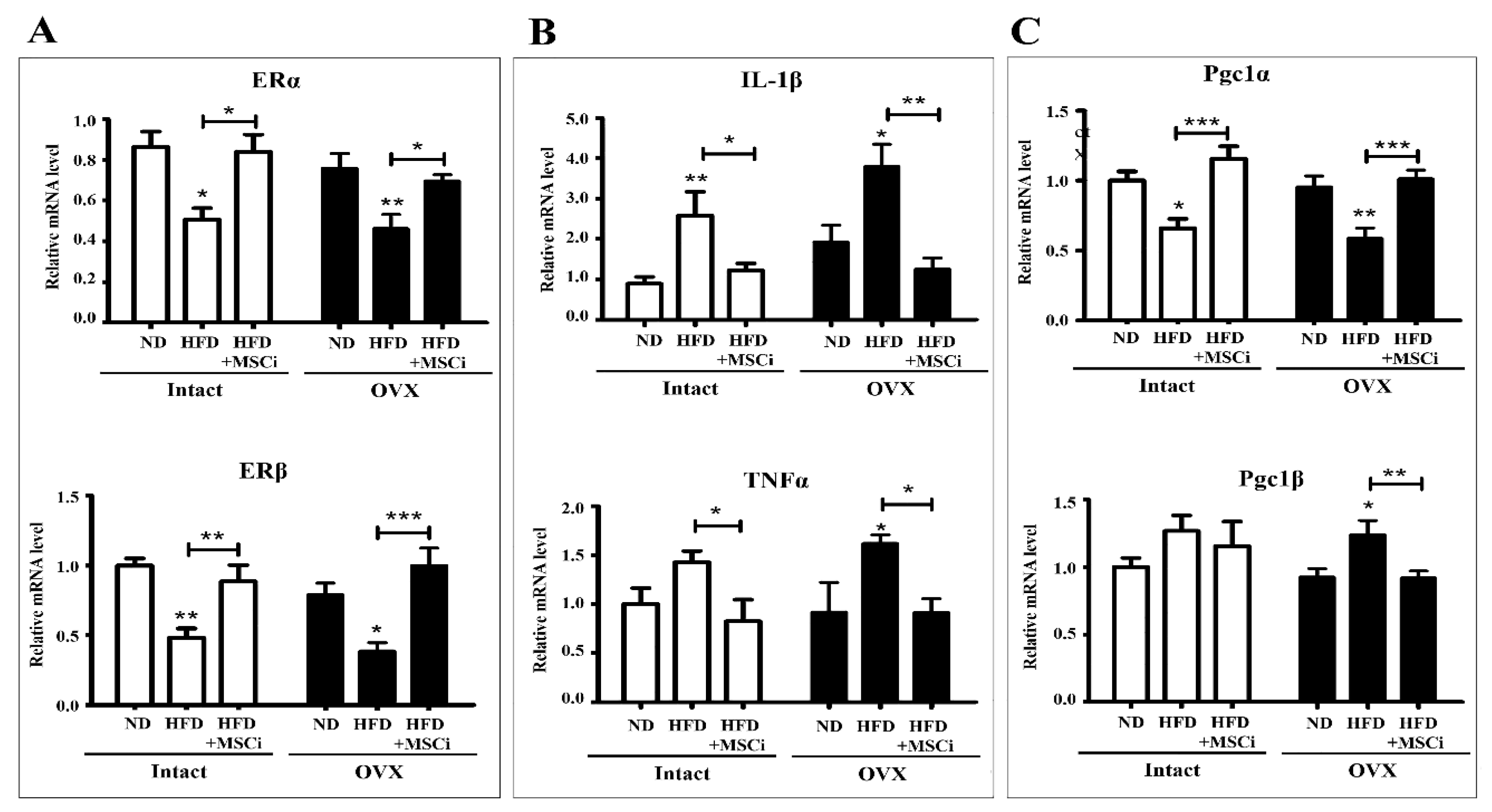 Preprints 210119 g003