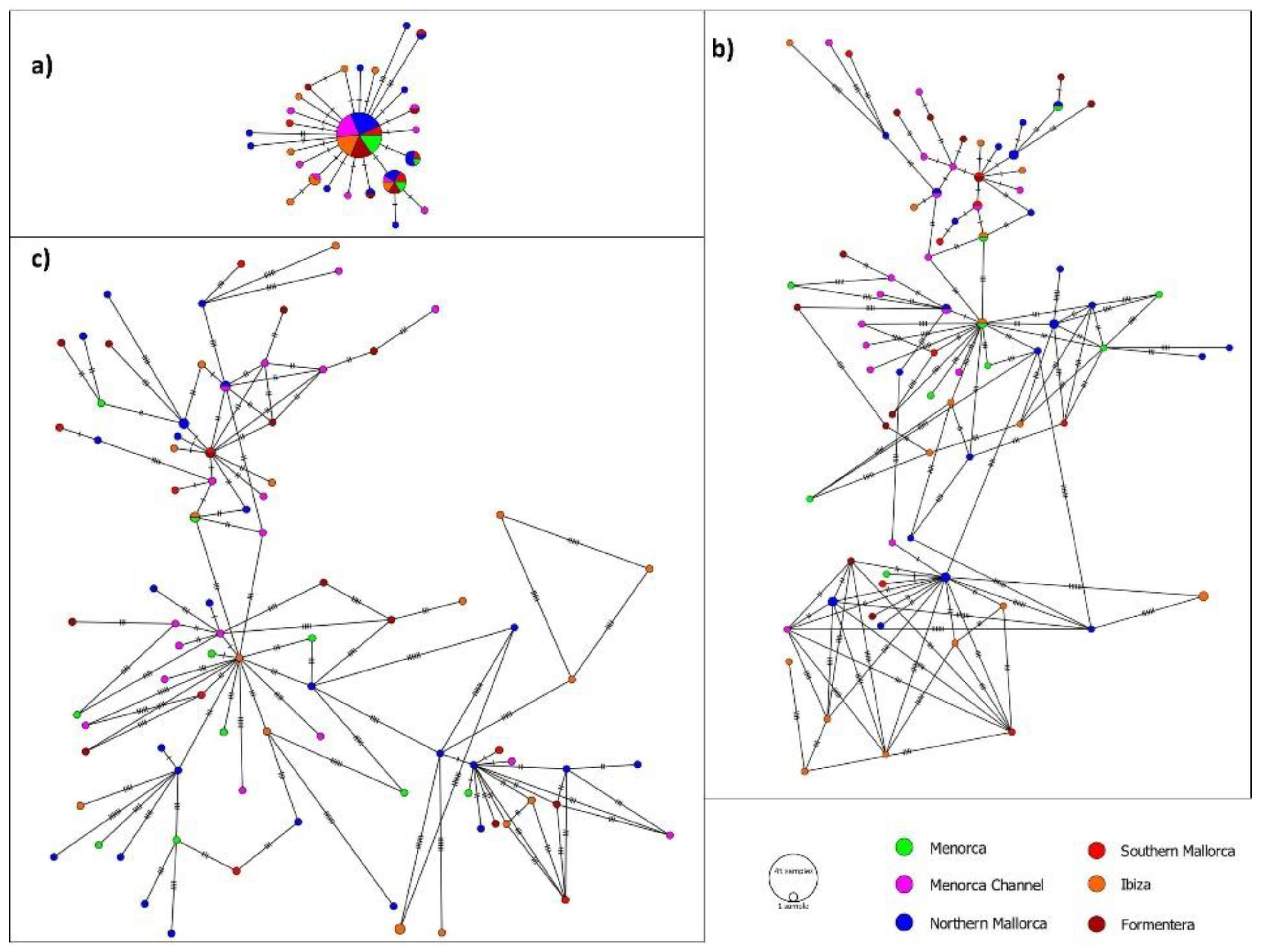 Preprints 156032 g002