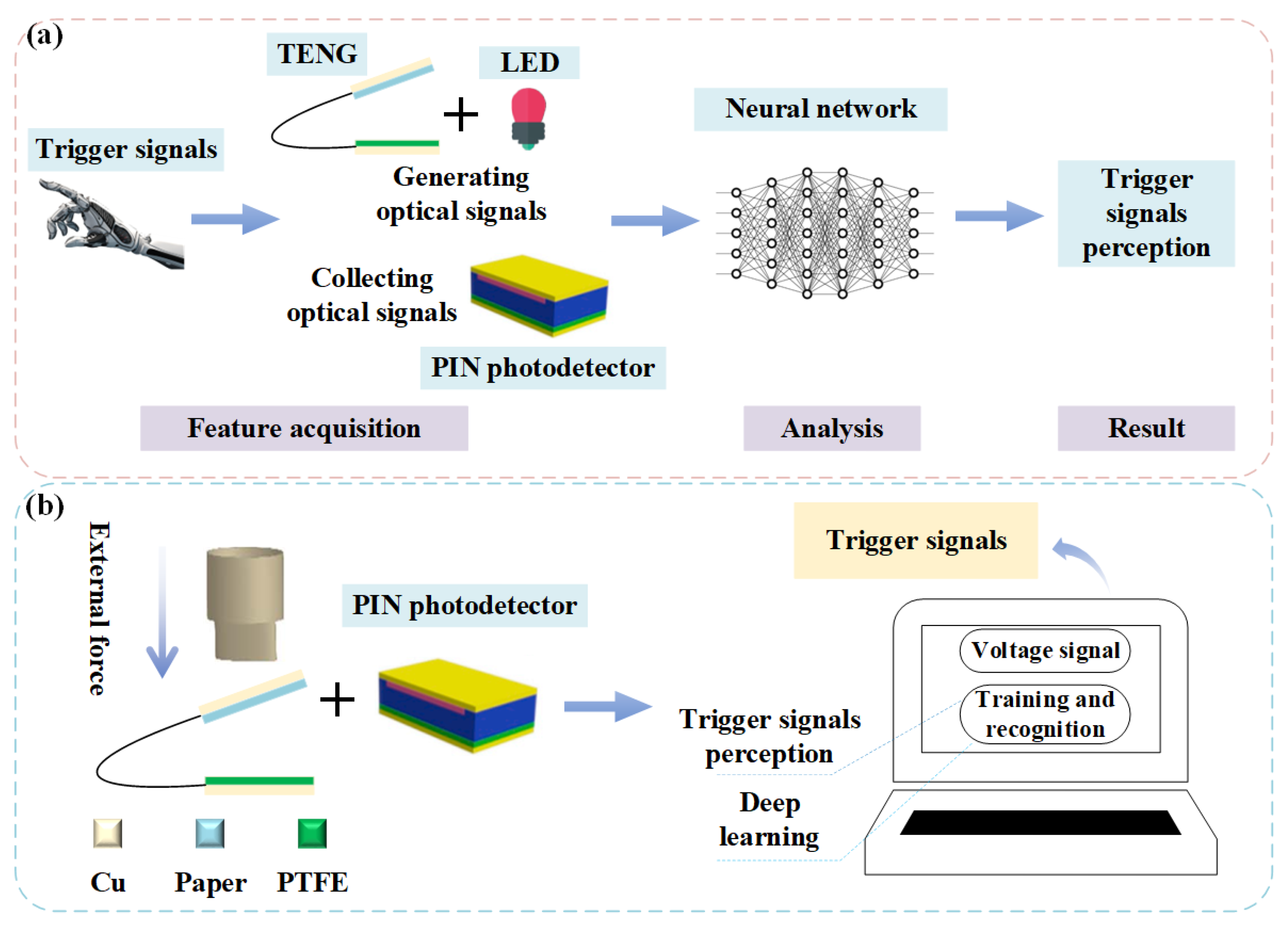 Preprints 185893 g001