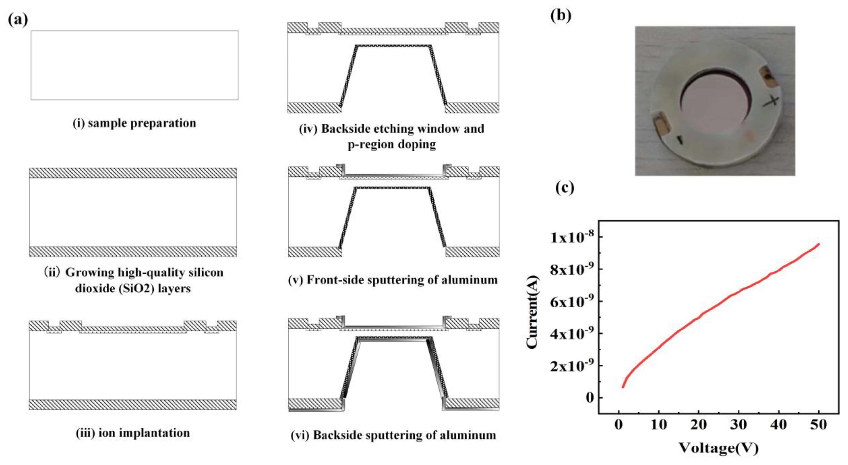 Preprints 185893 g002