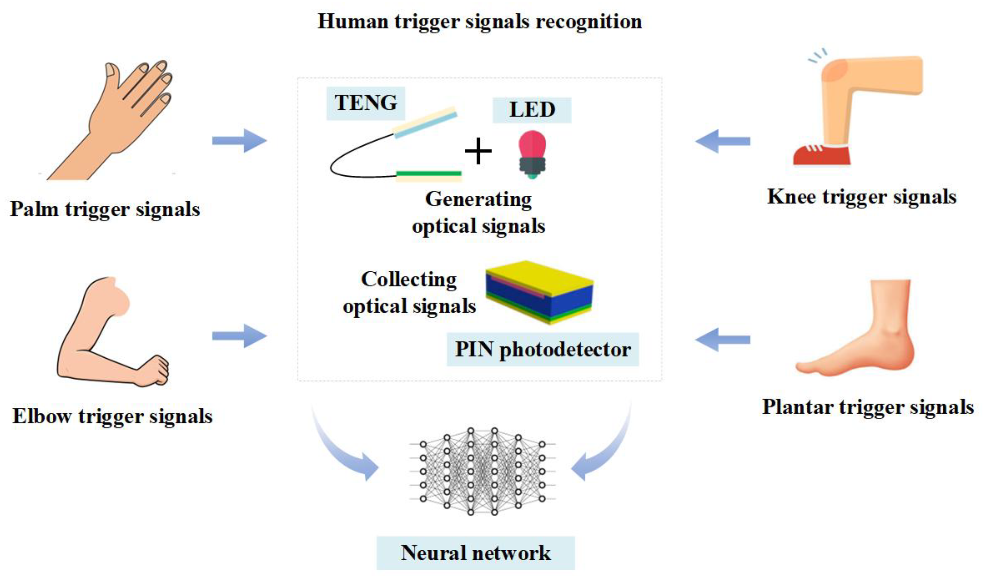 Preprints 185893 g005