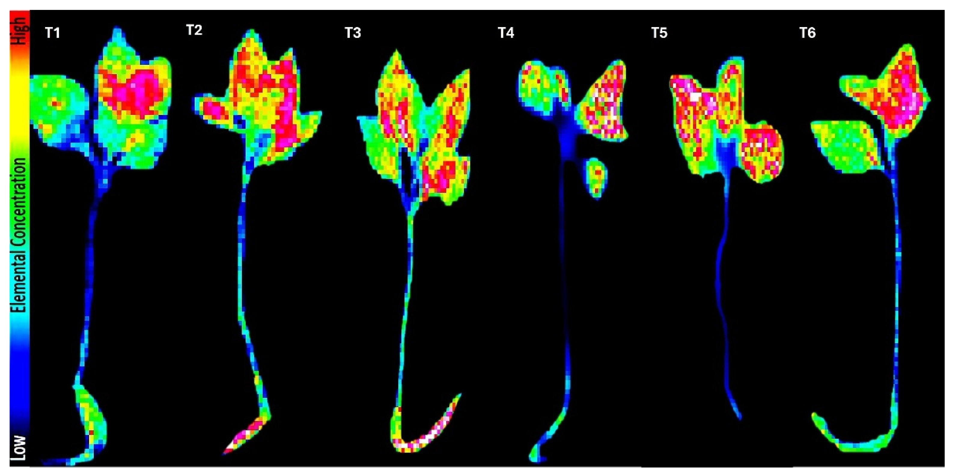 Preprints 158186 g001