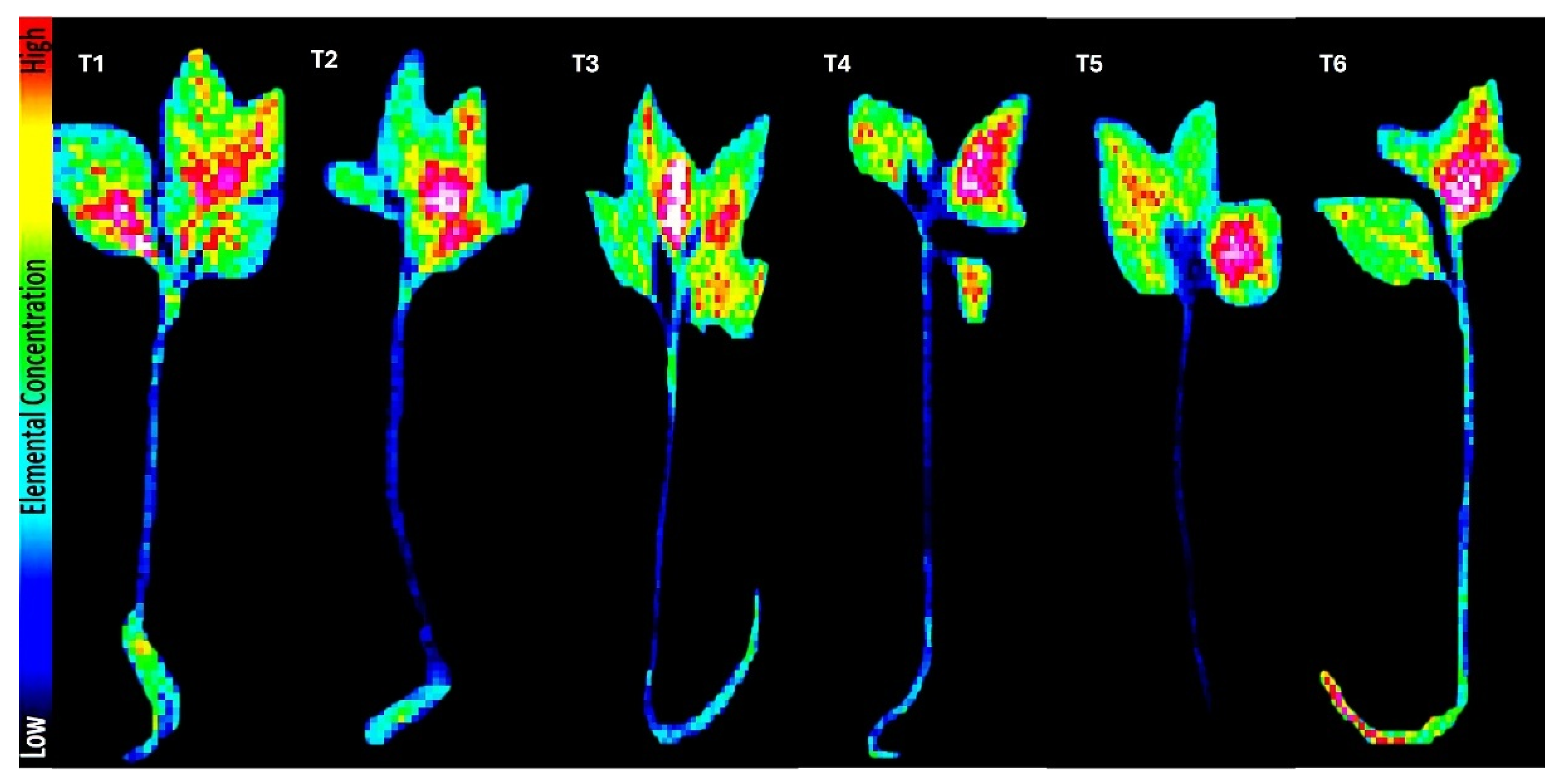 Preprints 158186 g002