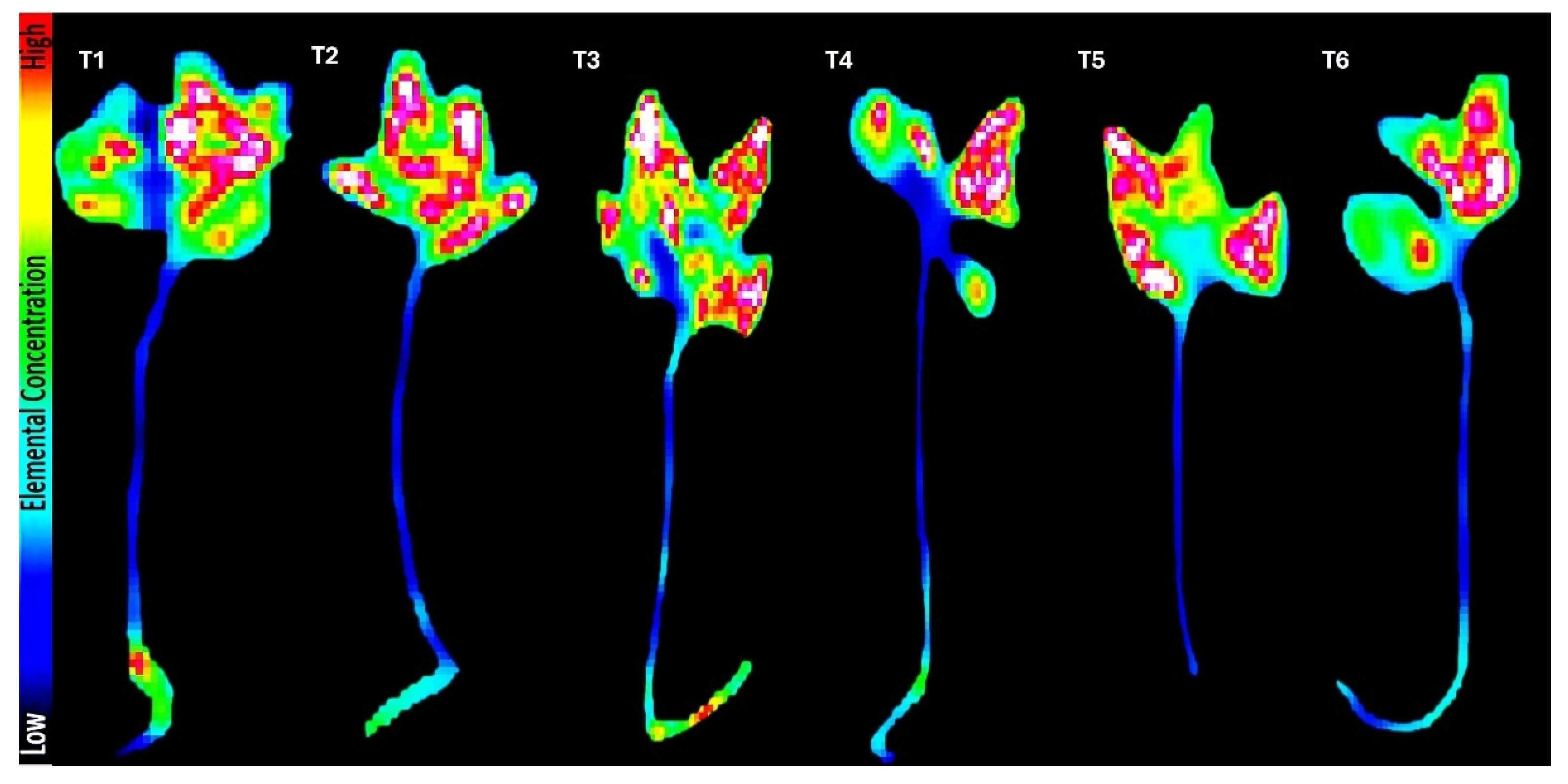 Preprints 158186 g003