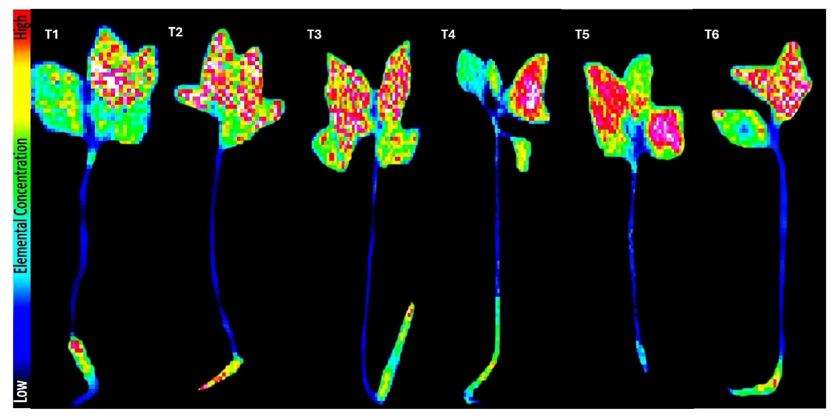 Preprints 158186 g005