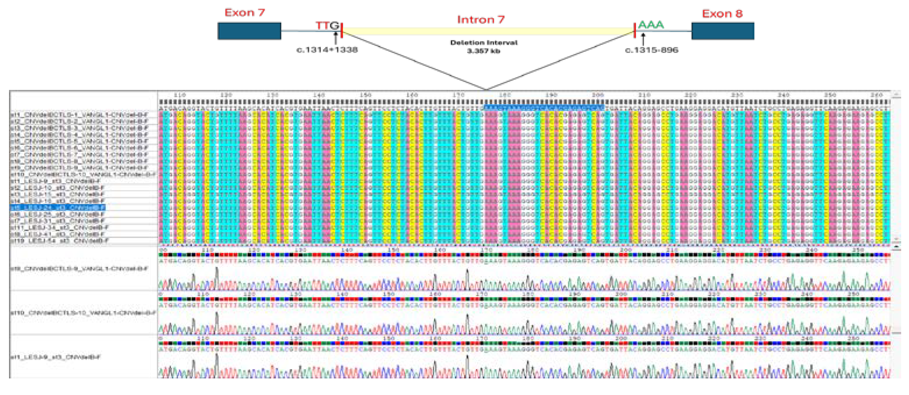 Preprints 105329 g001