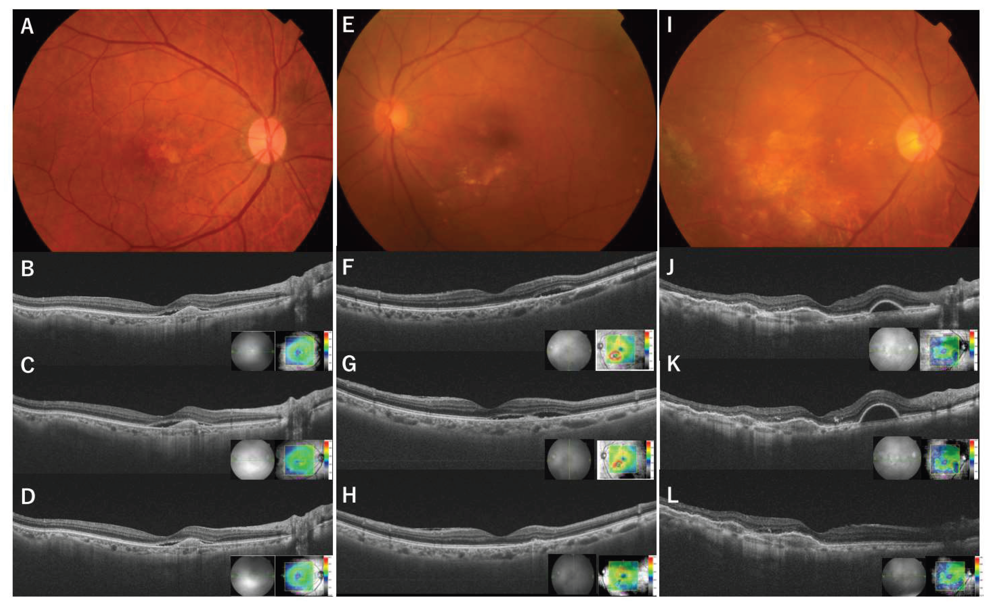Preprints 159873 g003