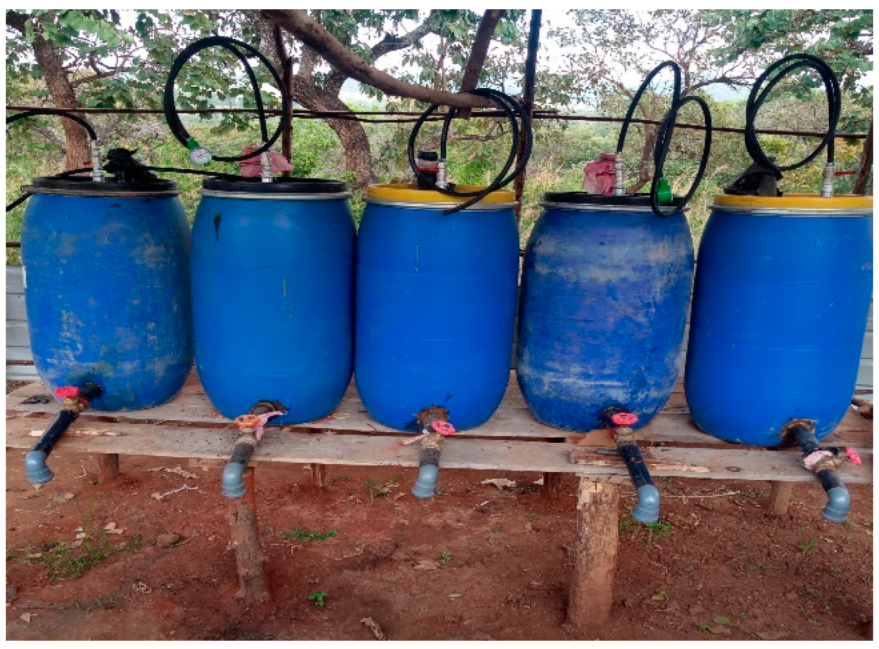 Preprints 155712 g001