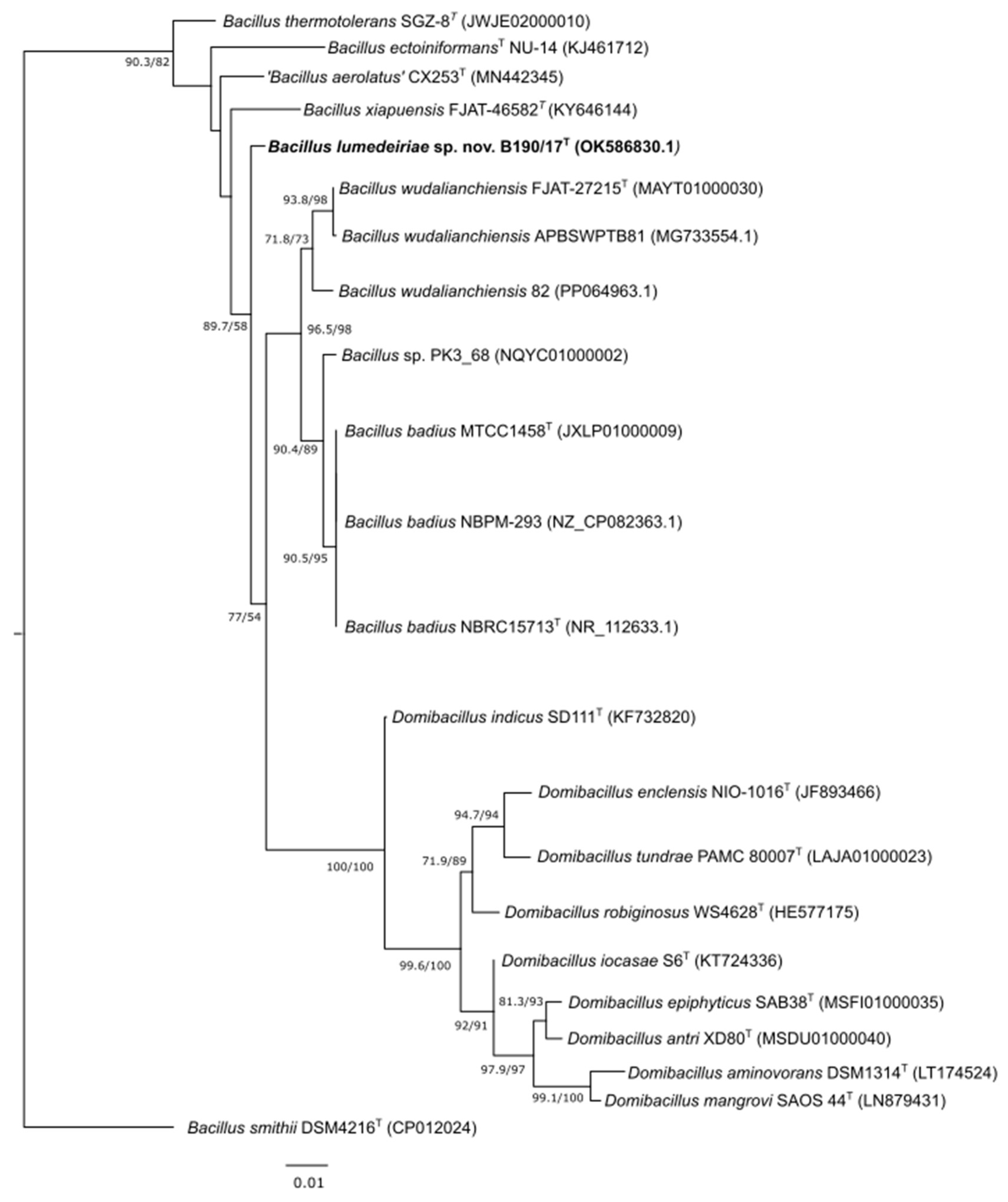 Preprints 139949 g002