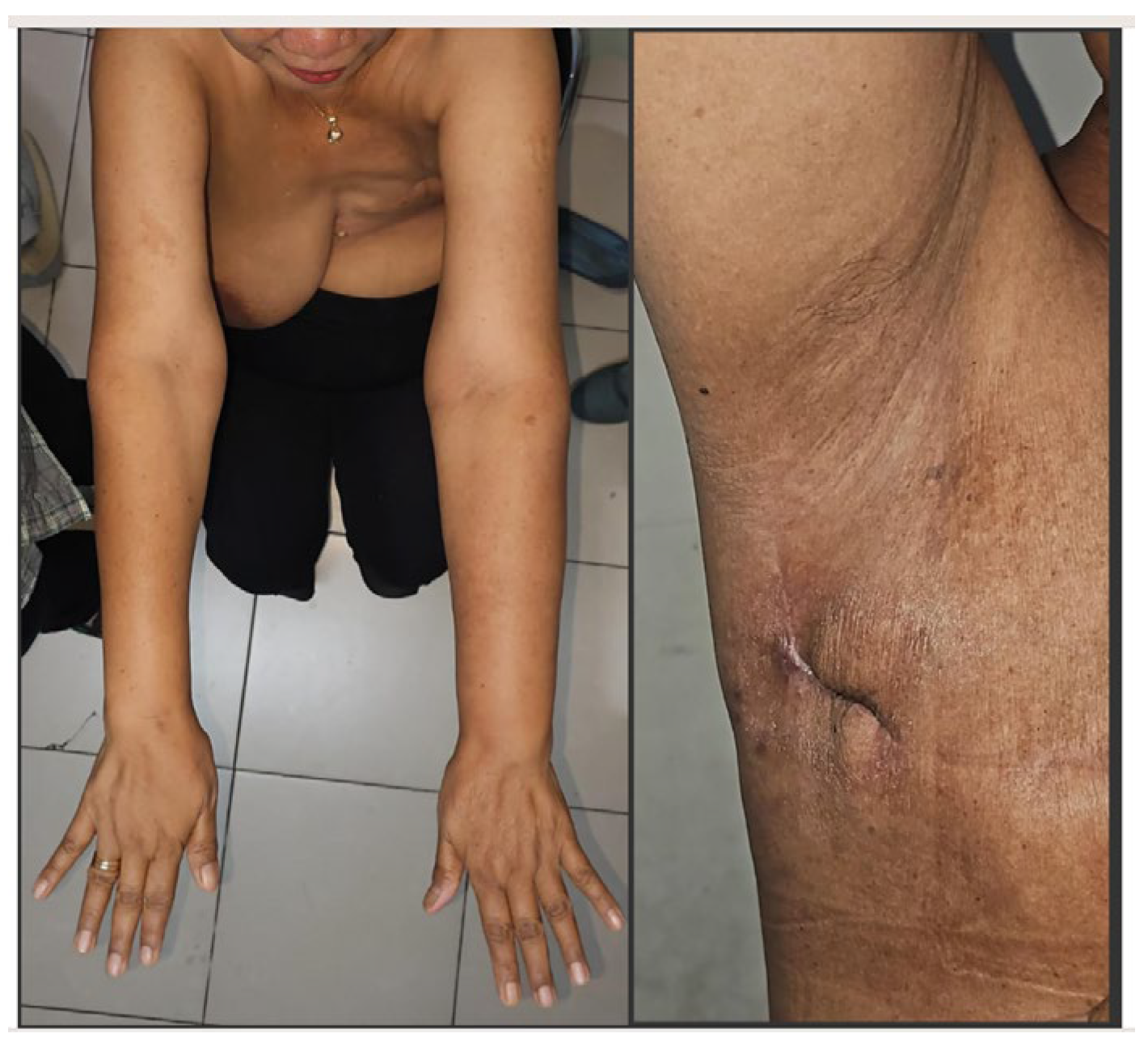 Preprints 149732 g004