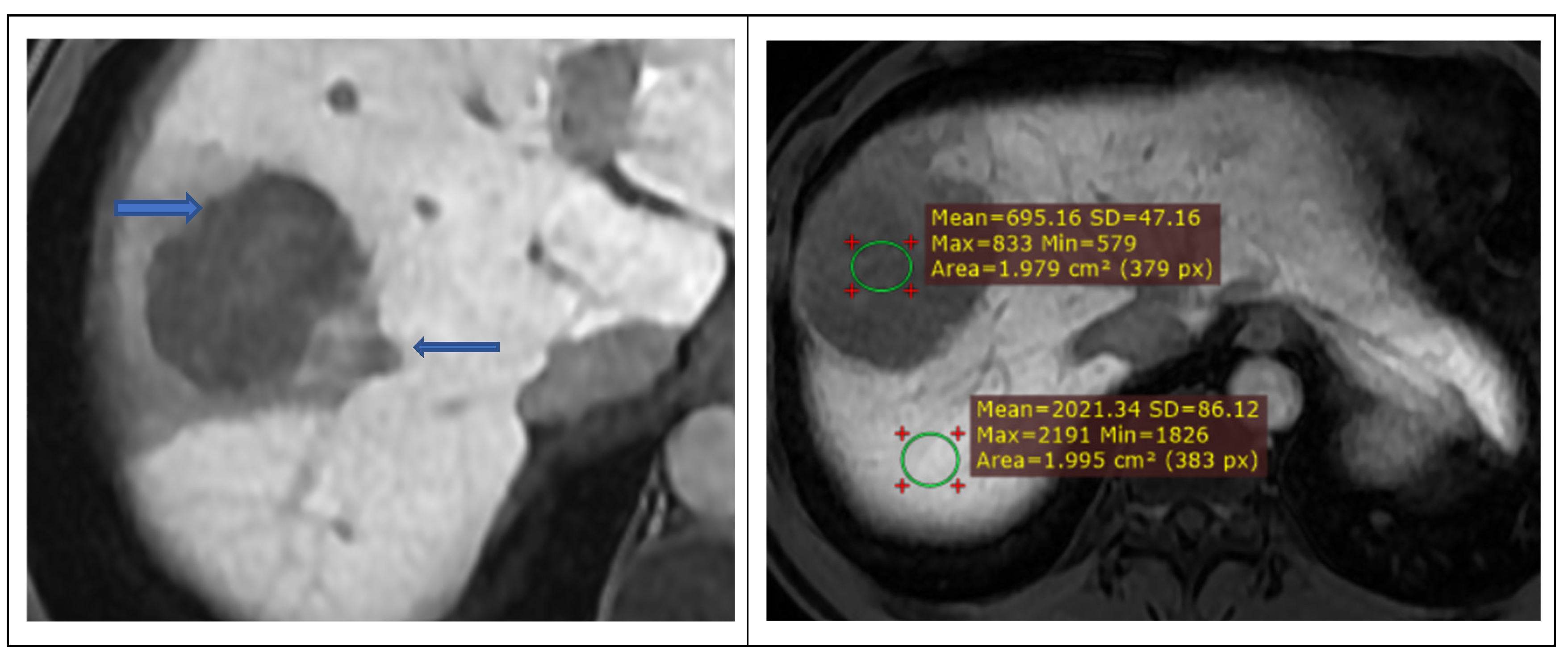 Preprints 212318 g001