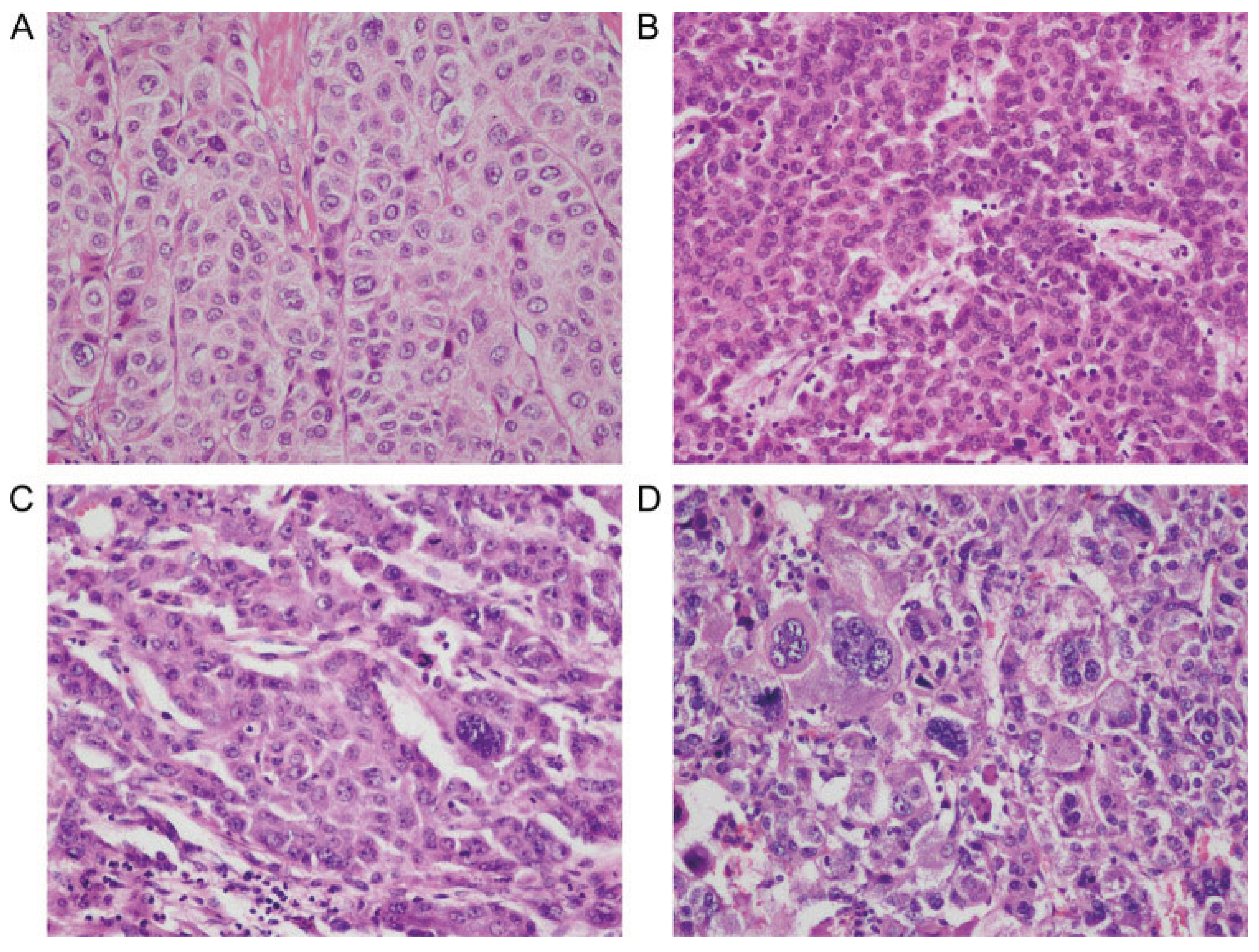 Preprints 212318 g002
