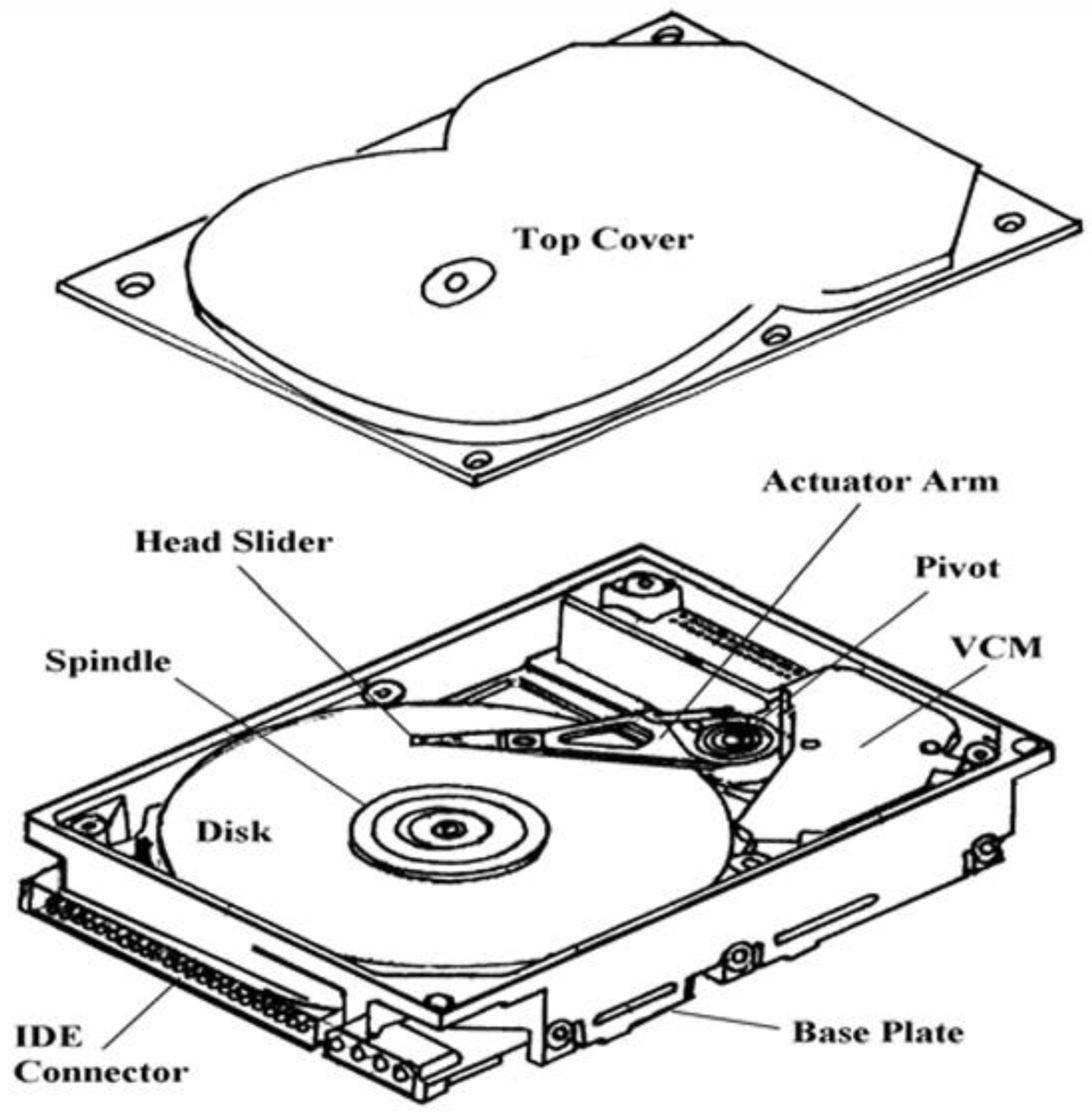 Preprints 190522 g017
