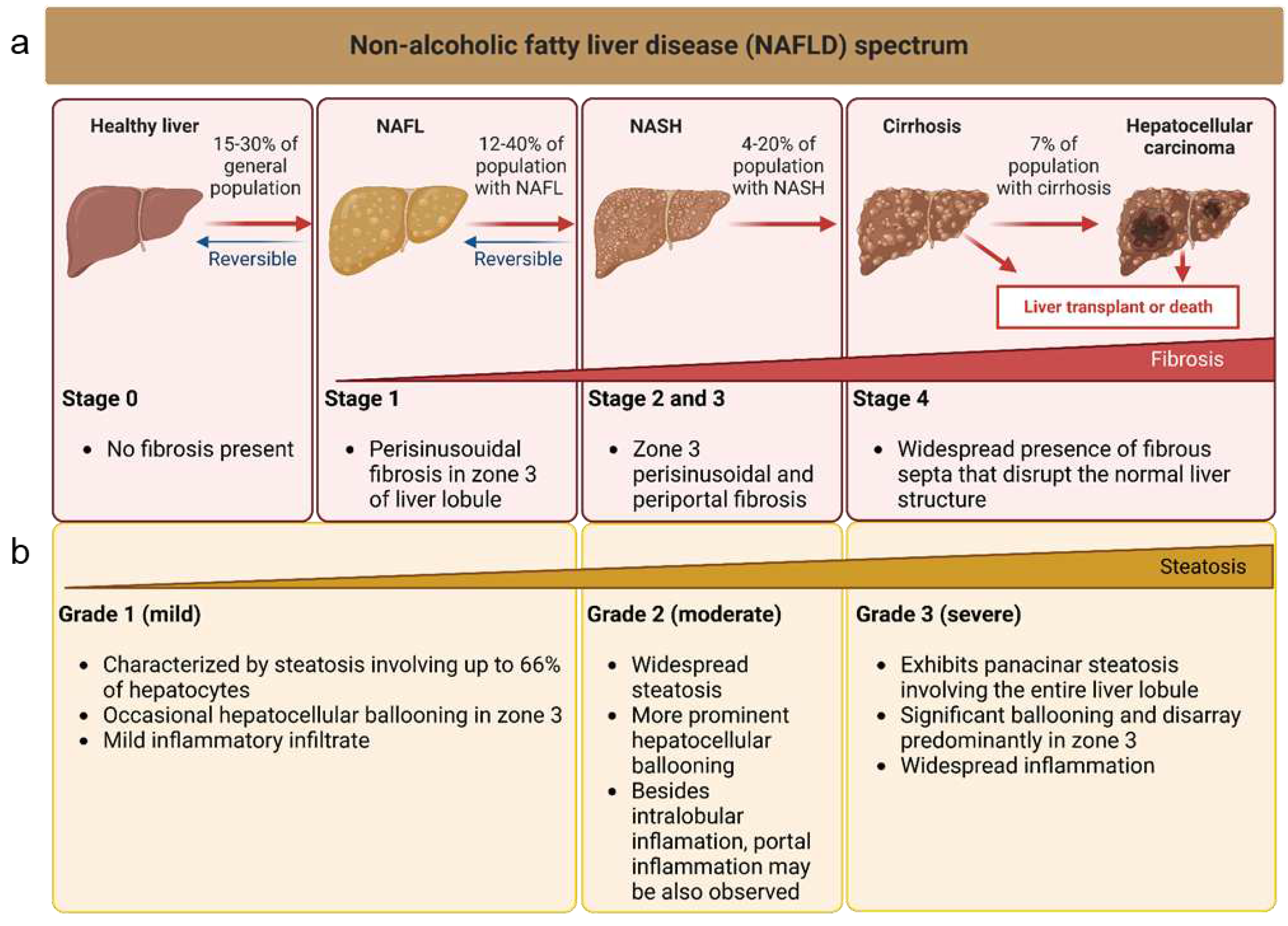 Preprints 79989 g001