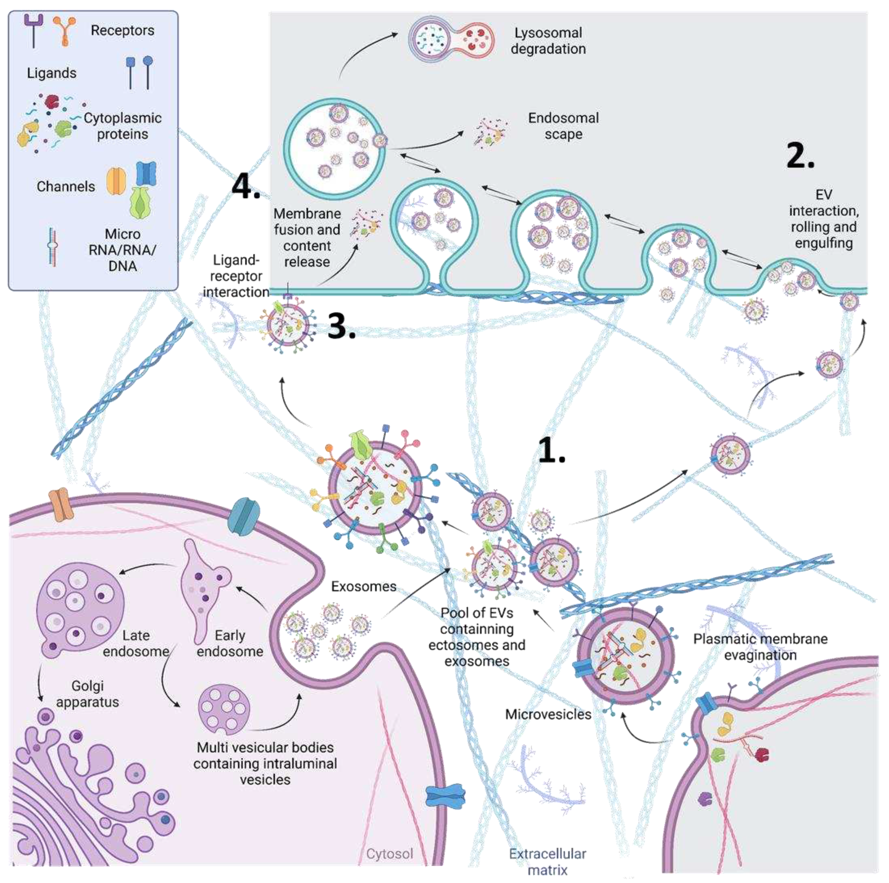 Preprints 79989 g002