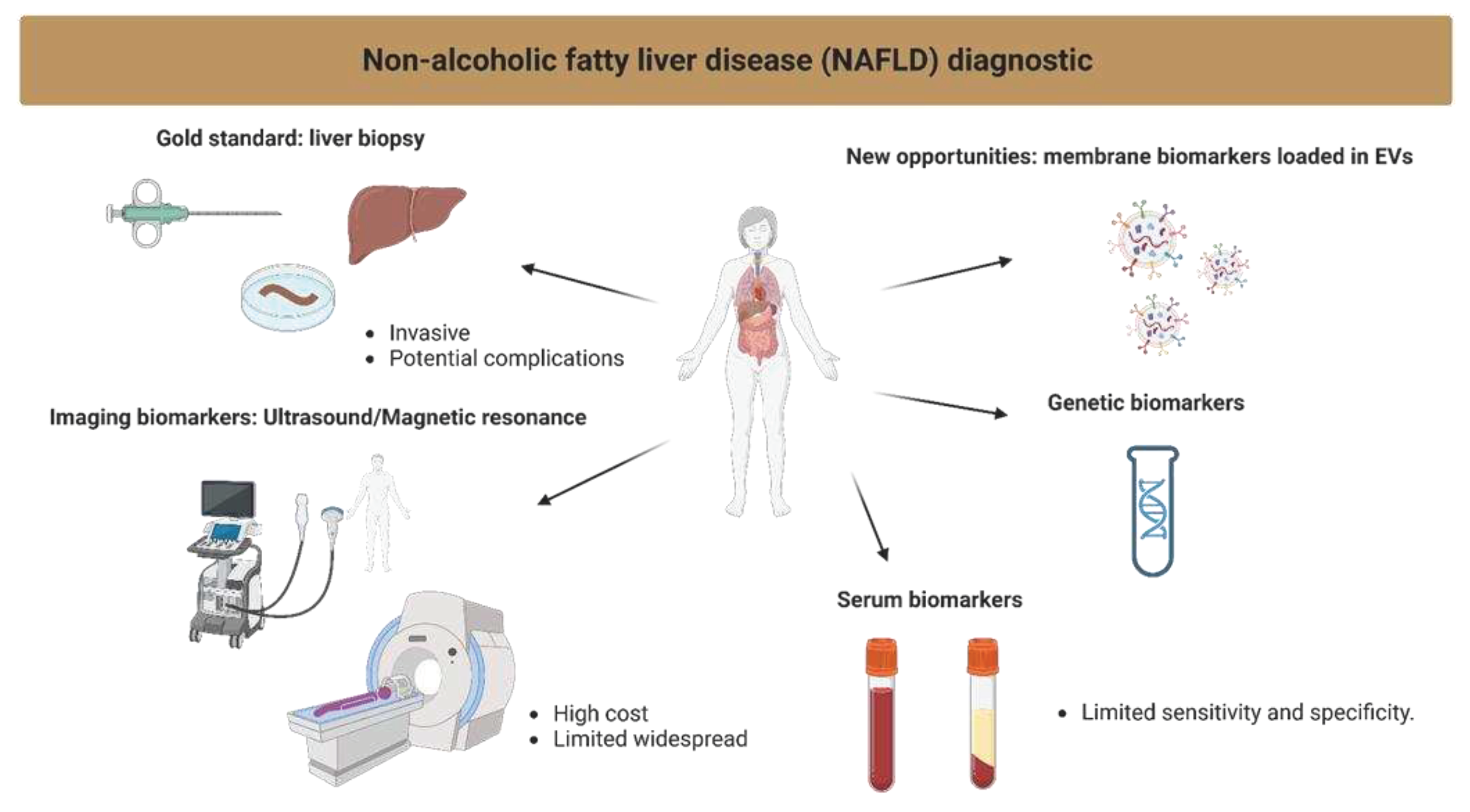 Preprints 79989 g004