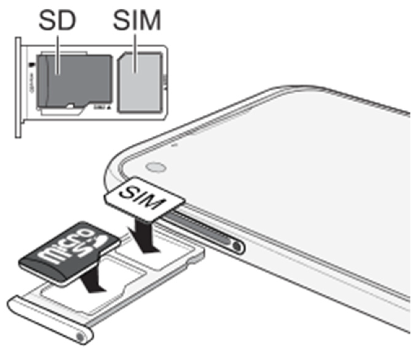 Preprints 147244 g006