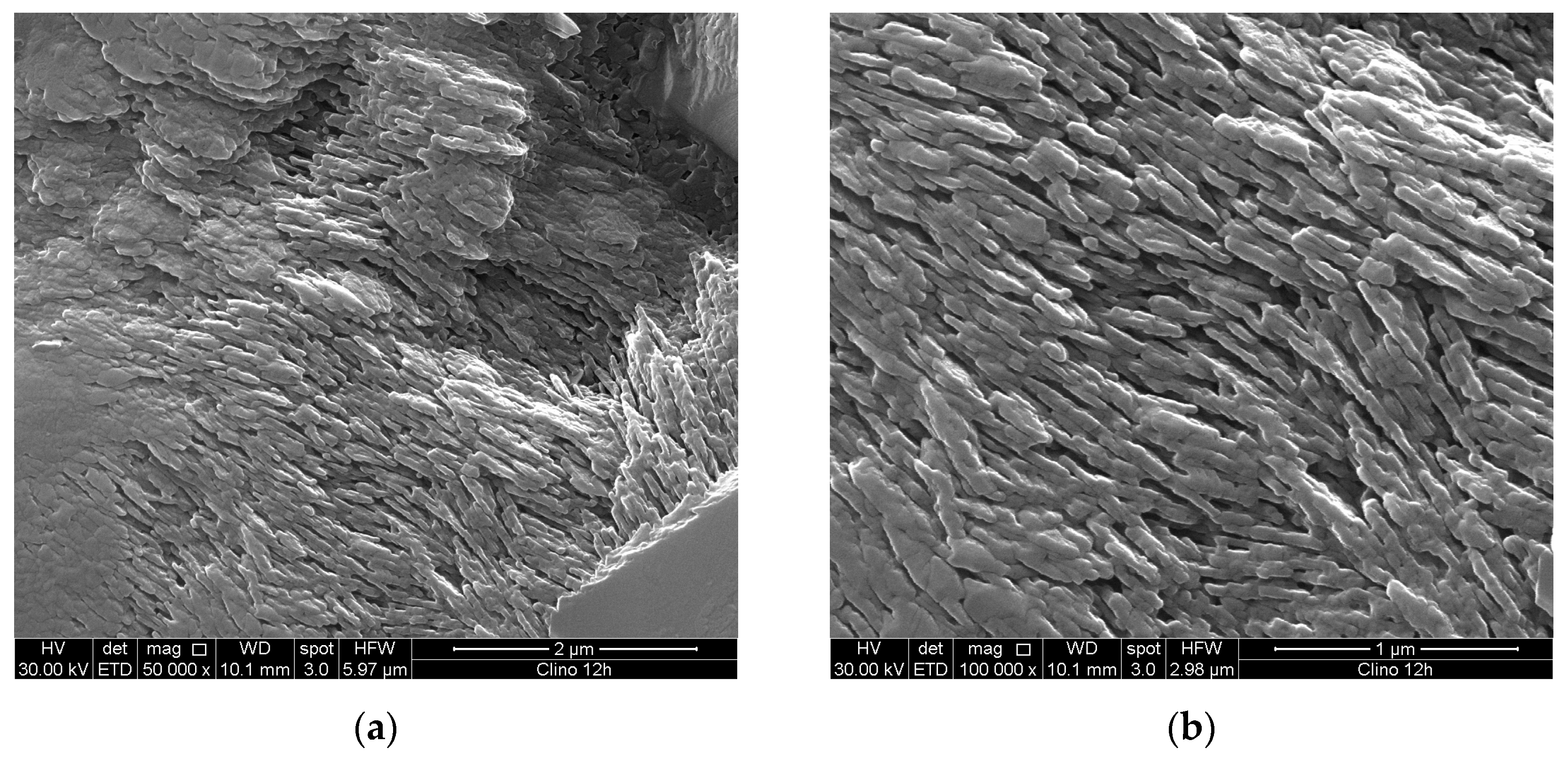 Preprints 99103 g003