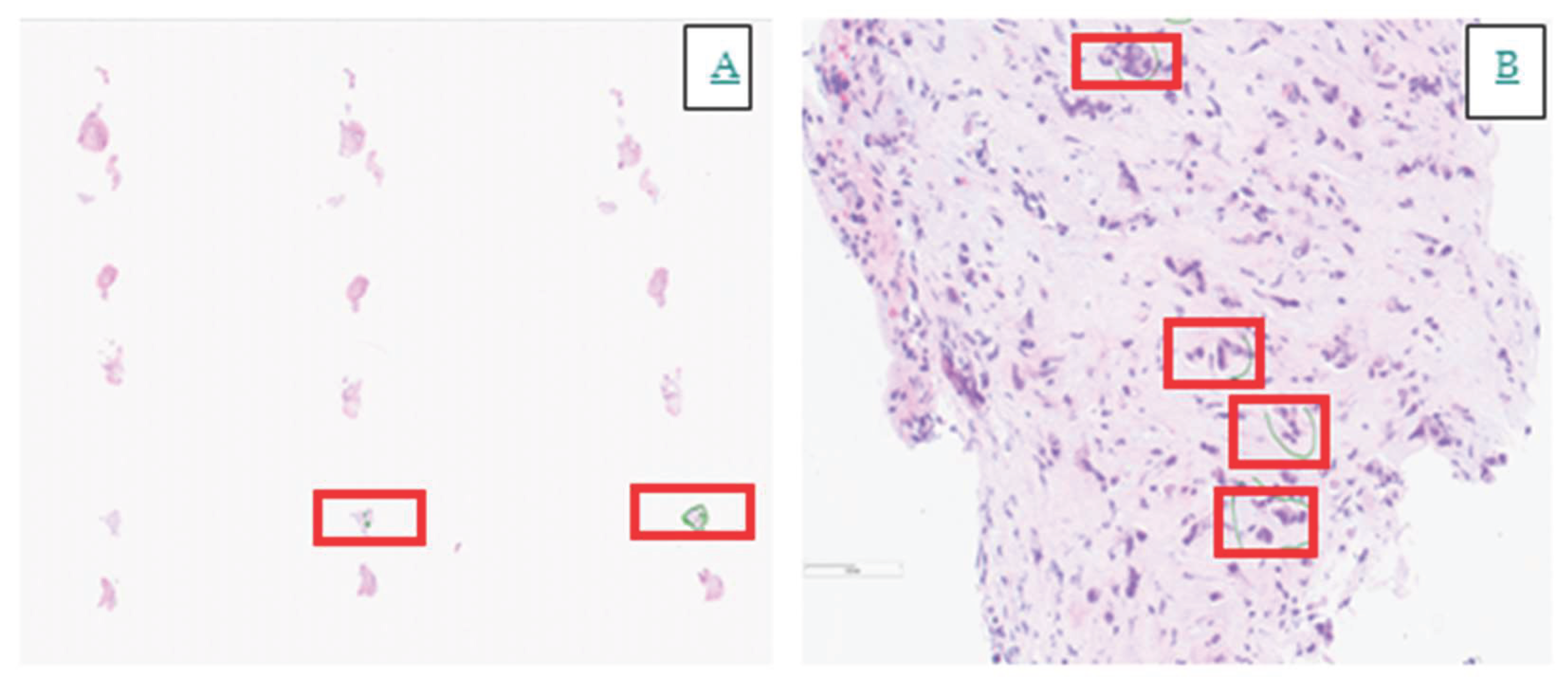 Preprints 161719 g001