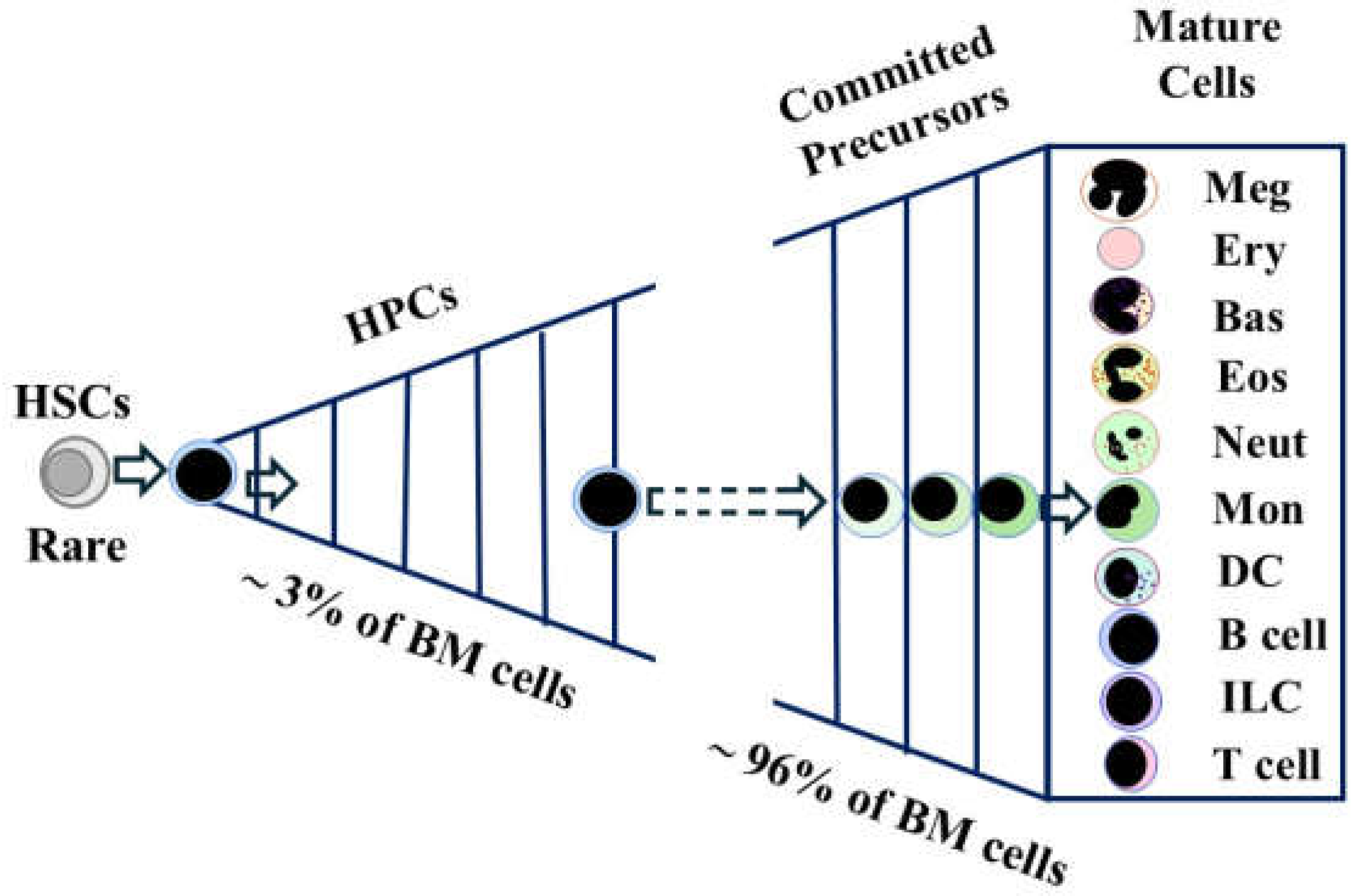 Preprints 150628 g001