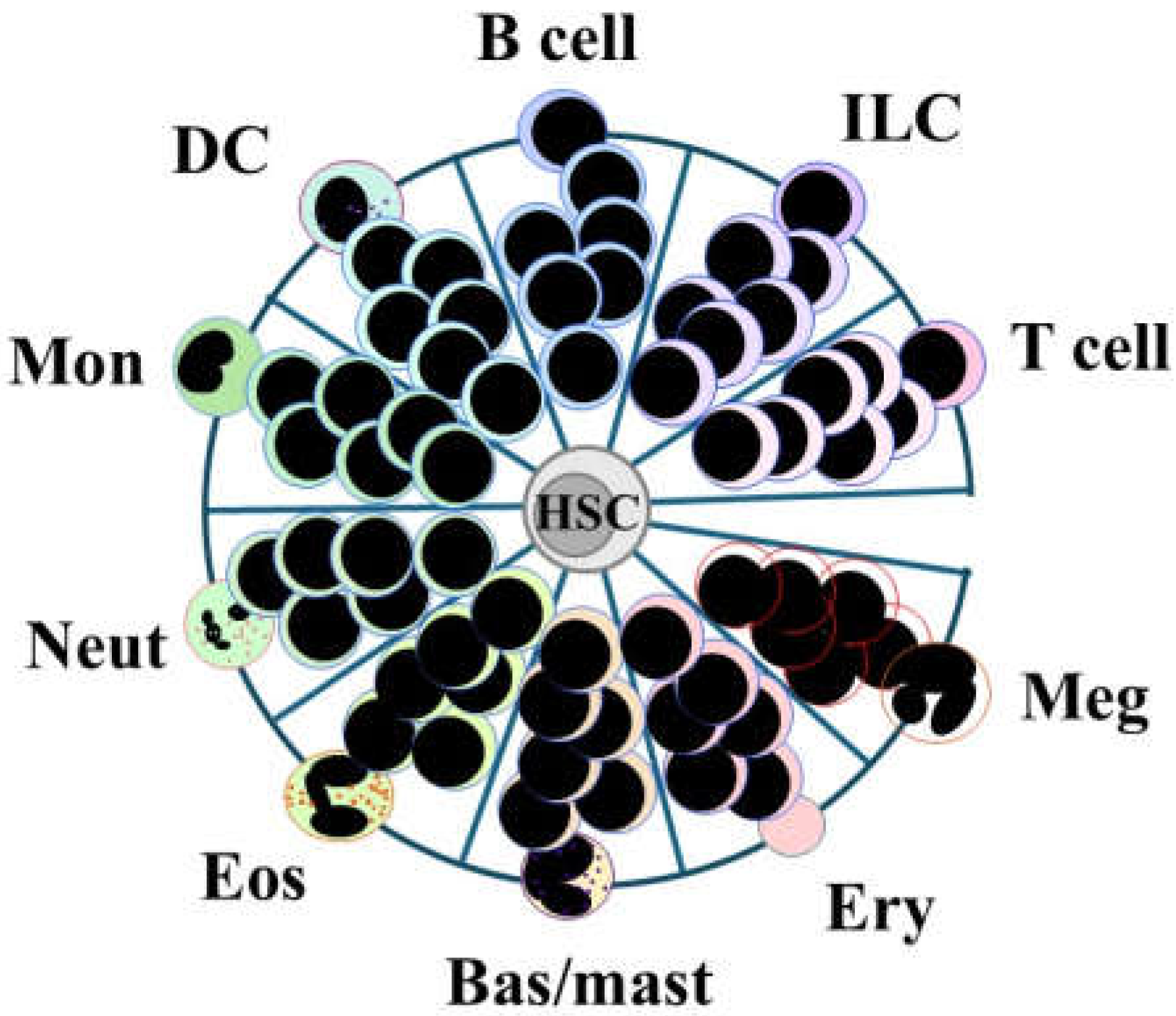 Preprints 150628 g003