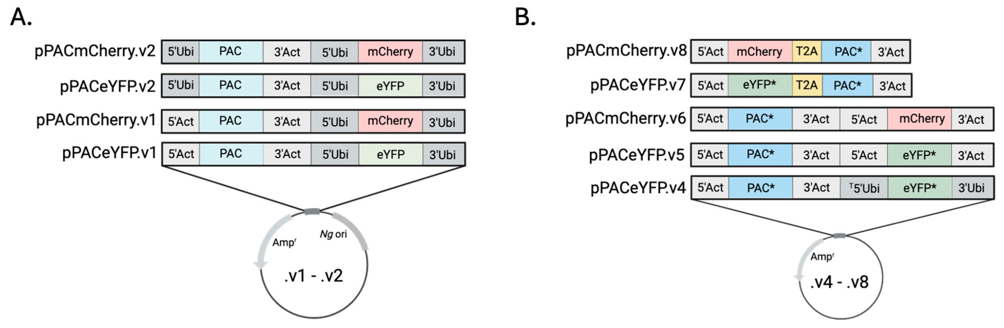 Preprints 188801 g001