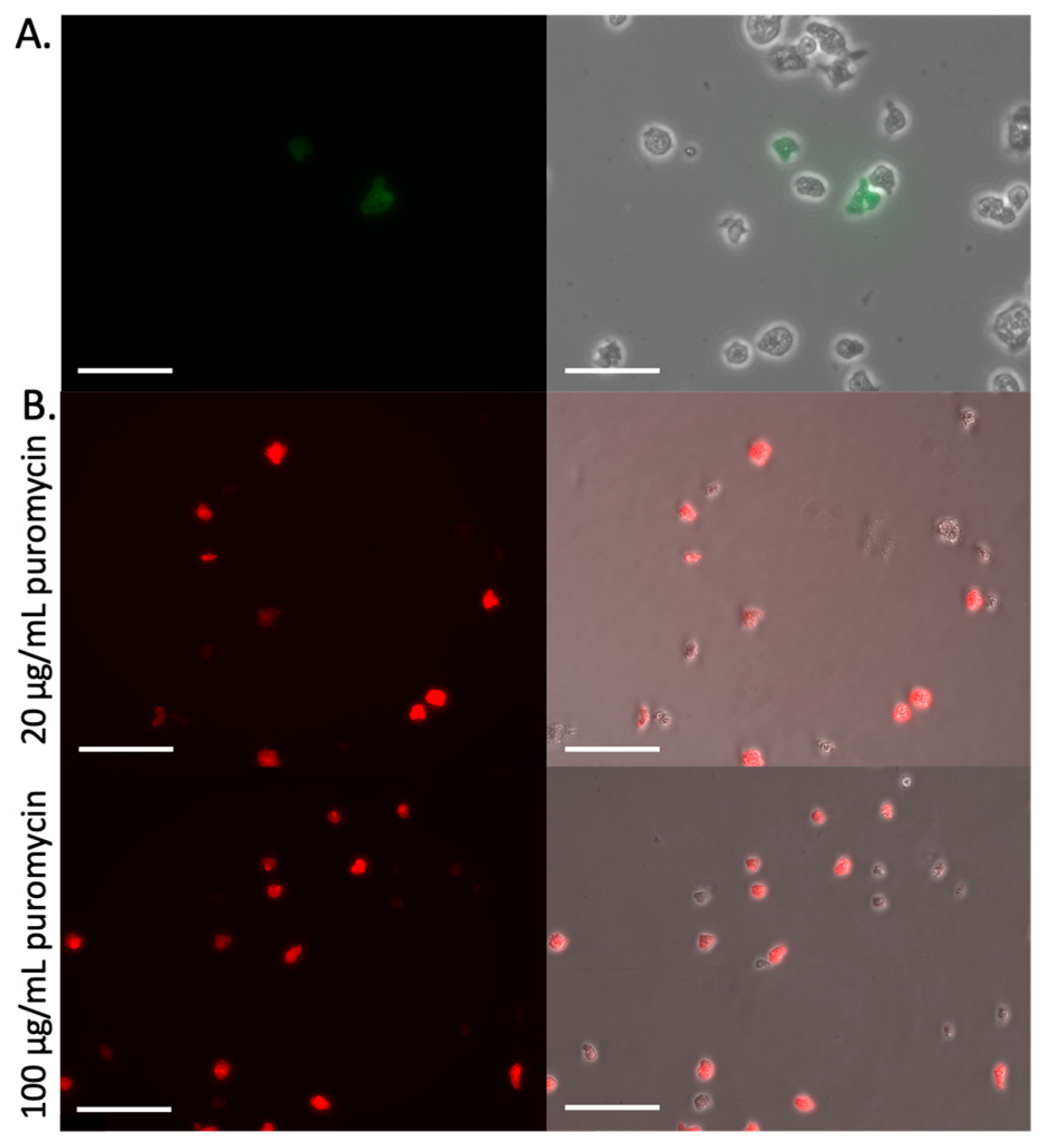 Preprints 188801 g004