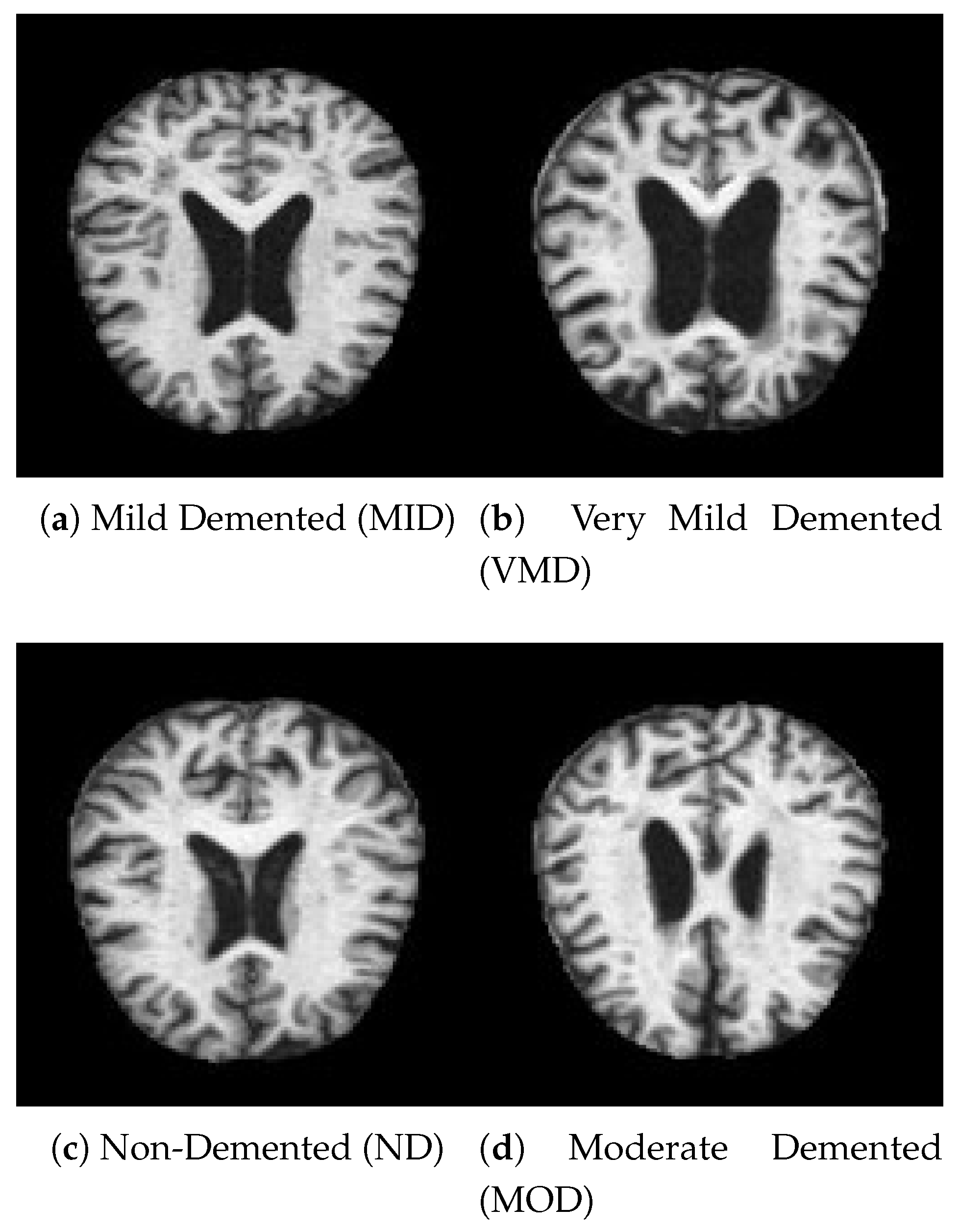 Preprints 157274 g002
