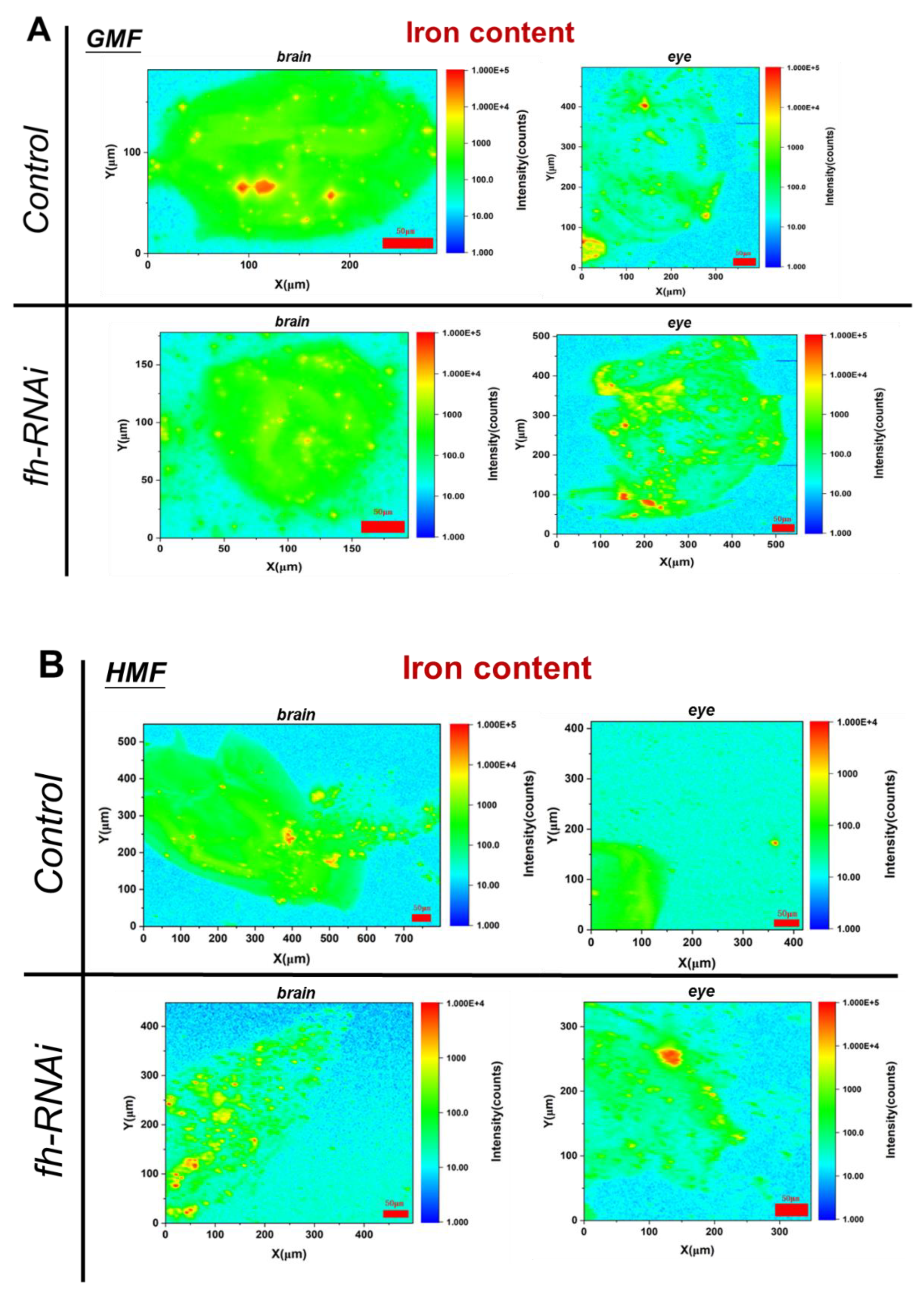 Preprints 196037 g004
