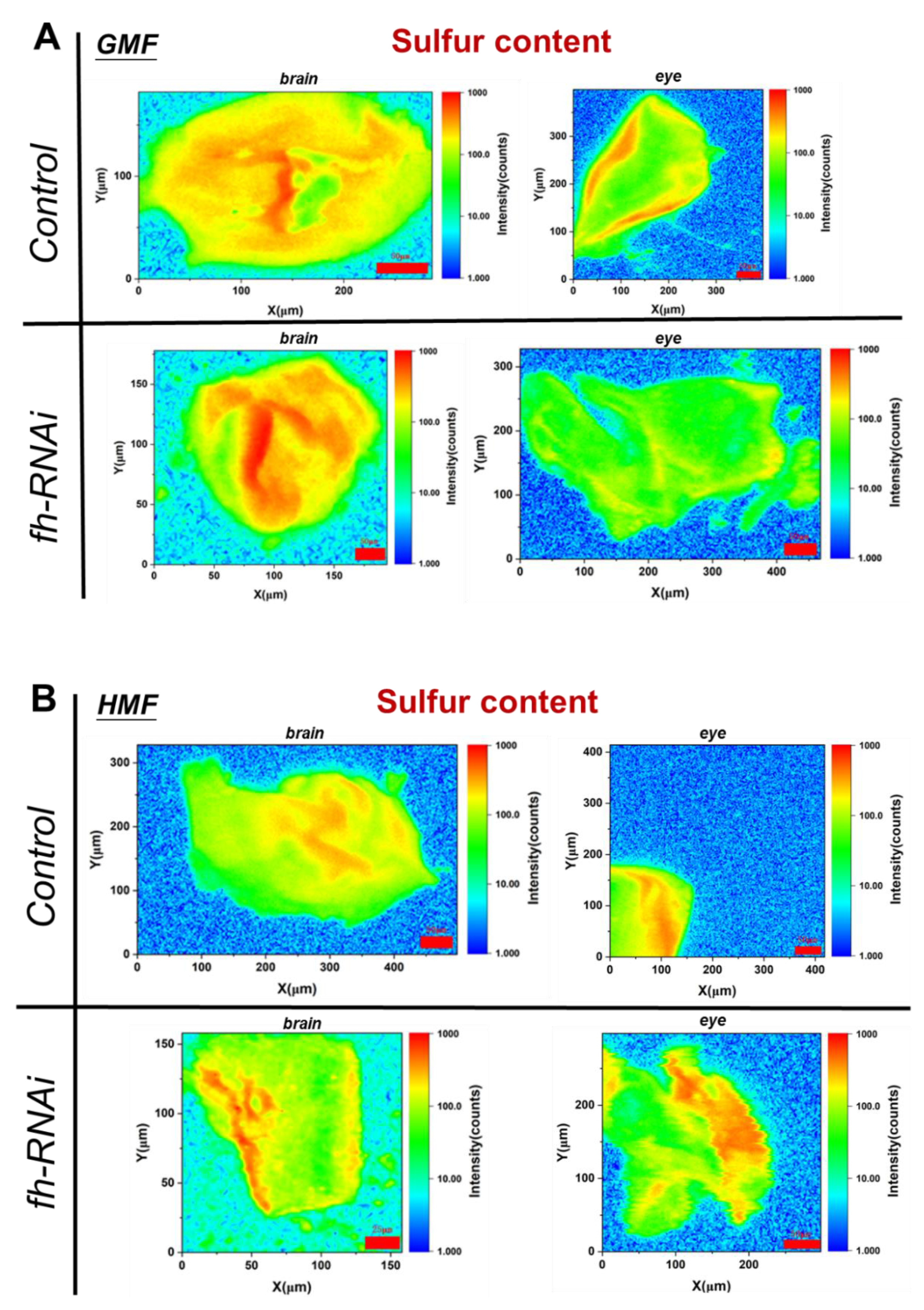 Preprints 196037 g006