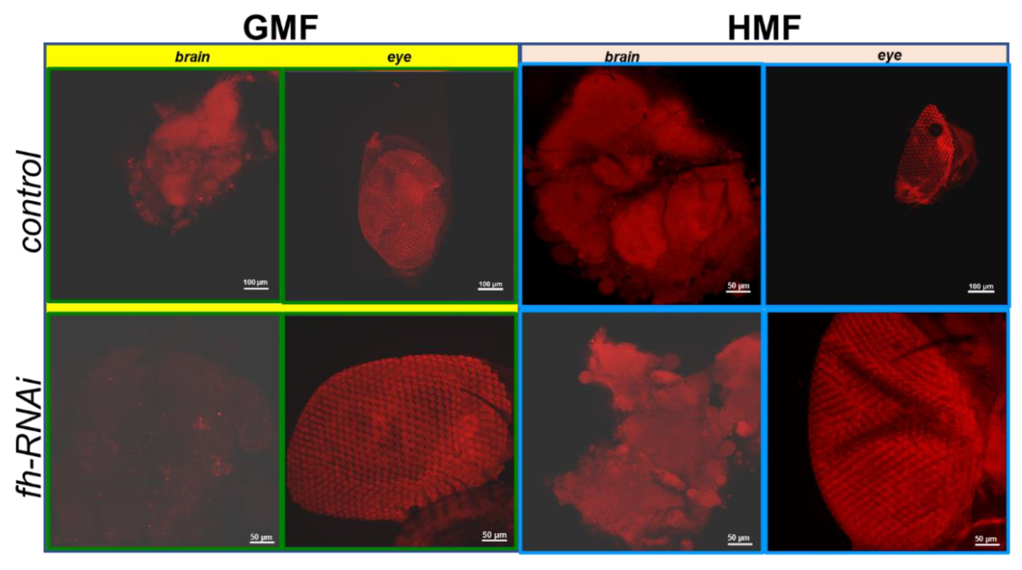 Preprints 196037 g007